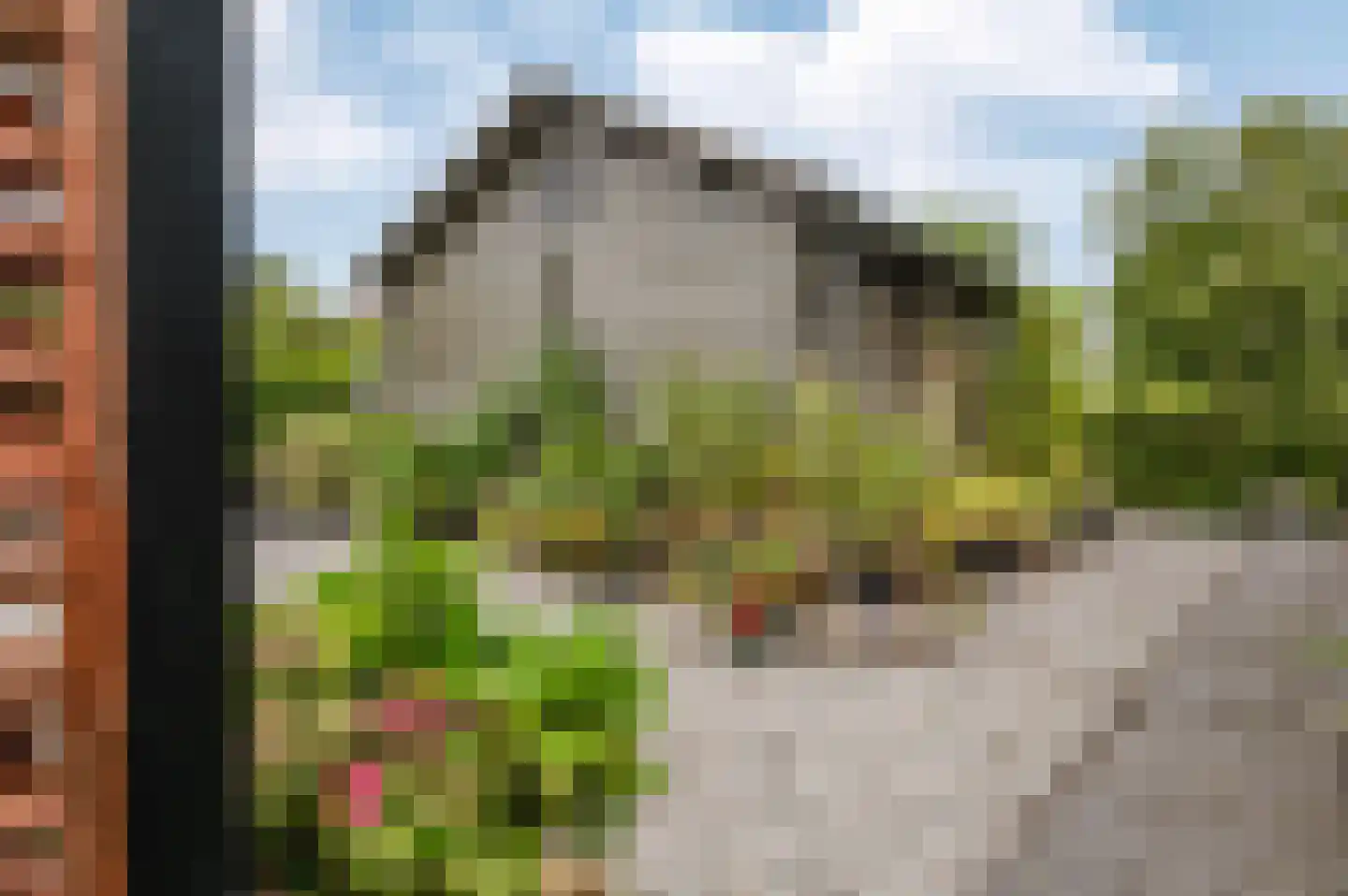 Voetpad 66 Scherpenzeel thumbnail 63