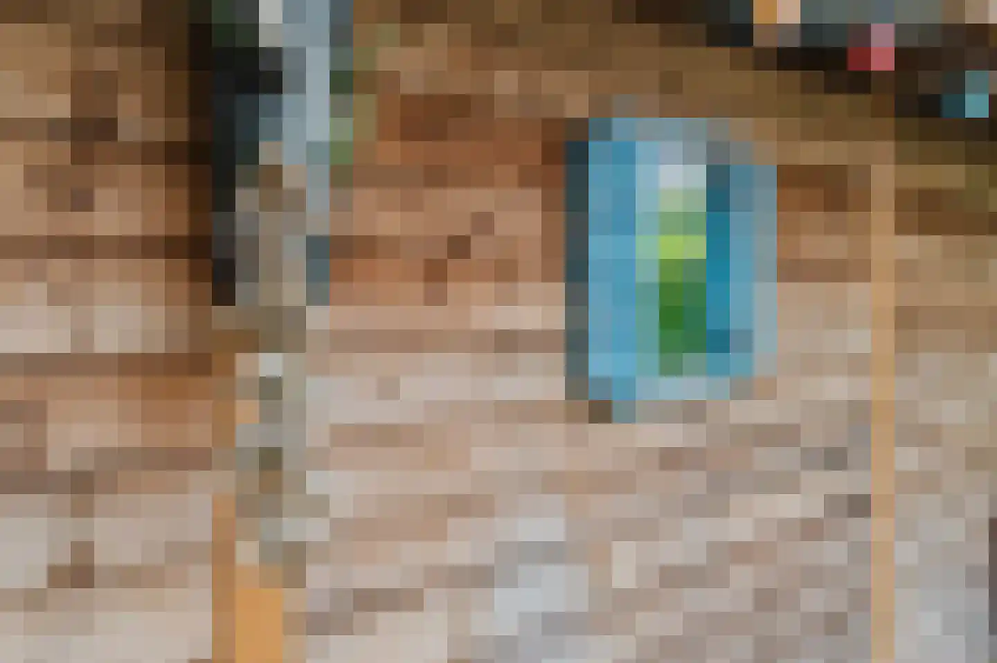Voetpad 66 Scherpenzeel thumbnail 65