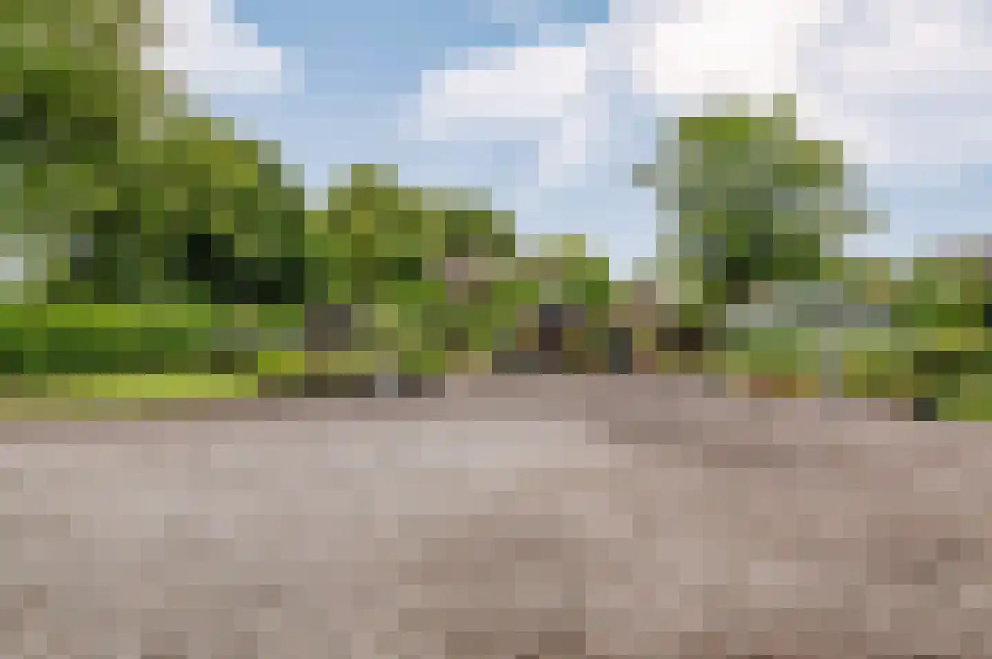 Voetpad 66 Scherpenzeel thumbnail 68