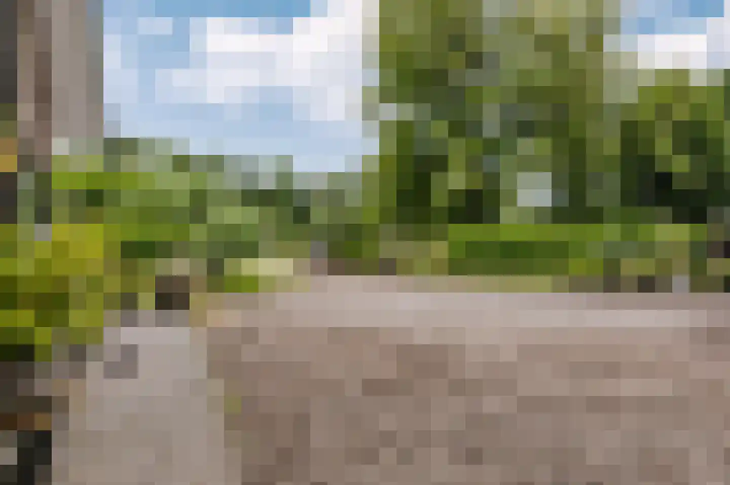 Voetpad 66 Scherpenzeel thumbnail 69