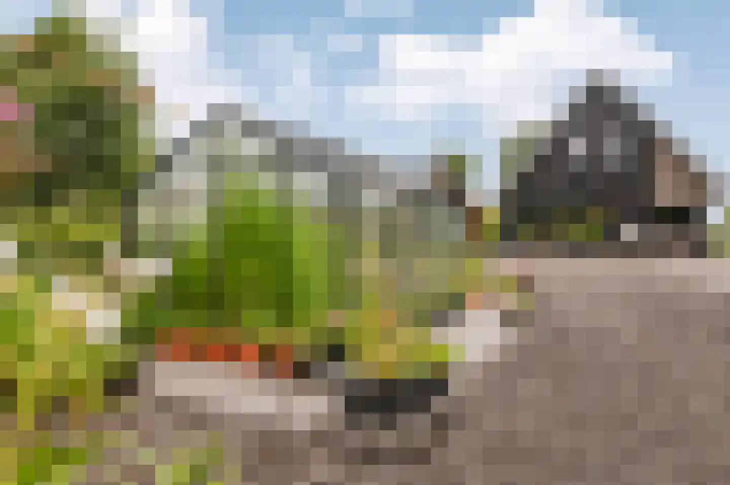 Voetpad 66 Scherpenzeel thumbnail 71