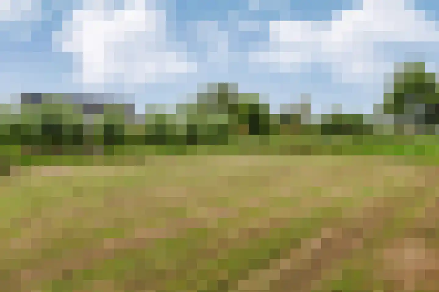Voetpad 66 Scherpenzeel thumbnail 73