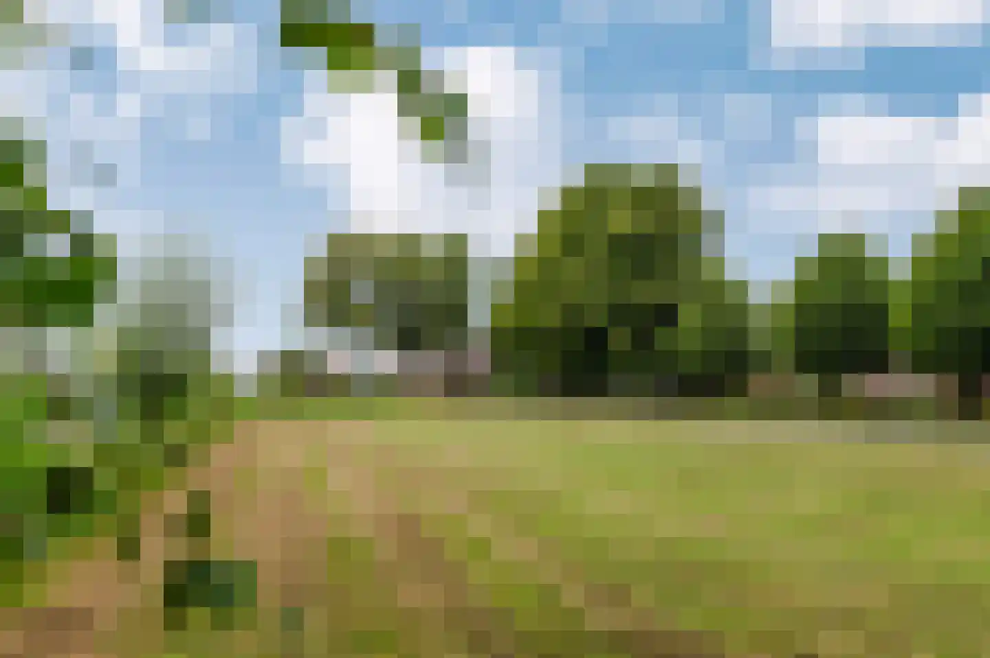 Voetpad 66 Scherpenzeel thumbnail 74