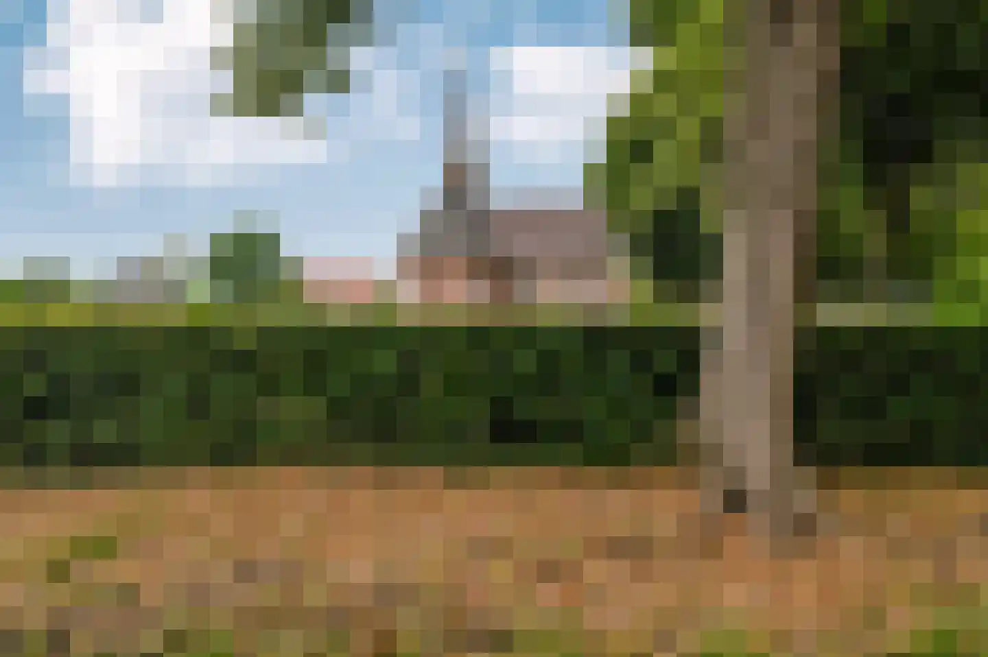 Voetpad 66 Scherpenzeel thumbnail 75
