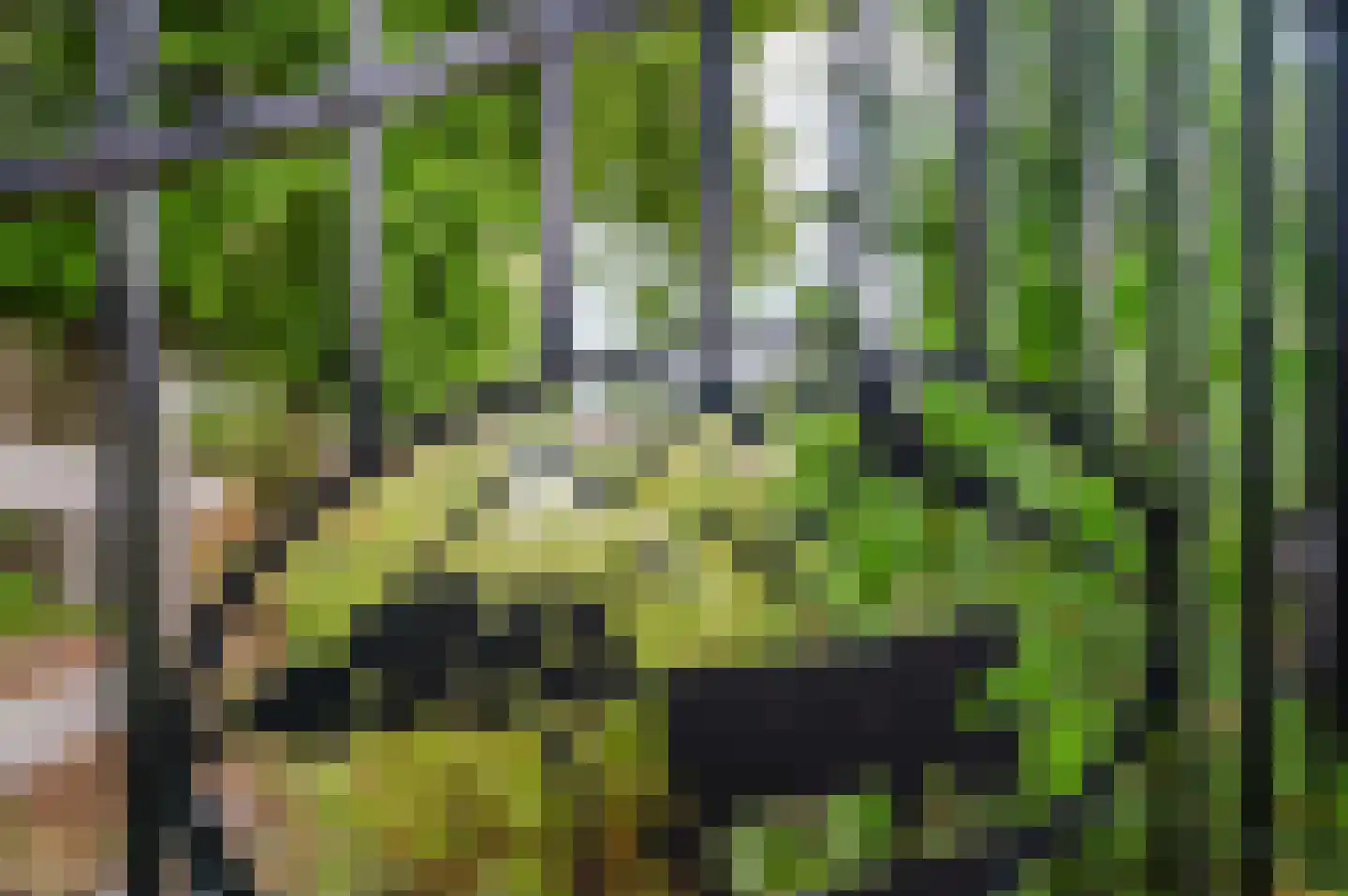 Voetpad 66 Scherpenzeel thumbnail 76