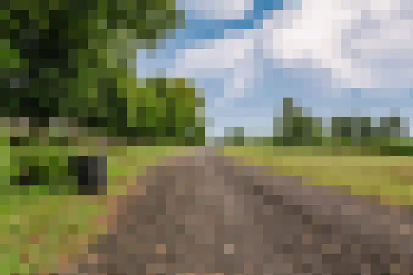 Voetpad 66 Scherpenzeel thumbnail 77