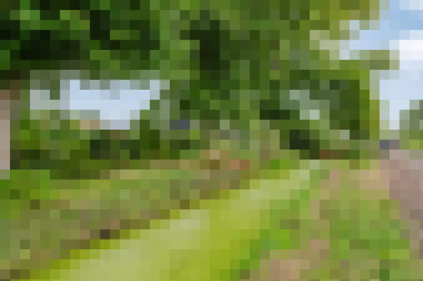 Voetpad 66 Scherpenzeel thumbnail 78