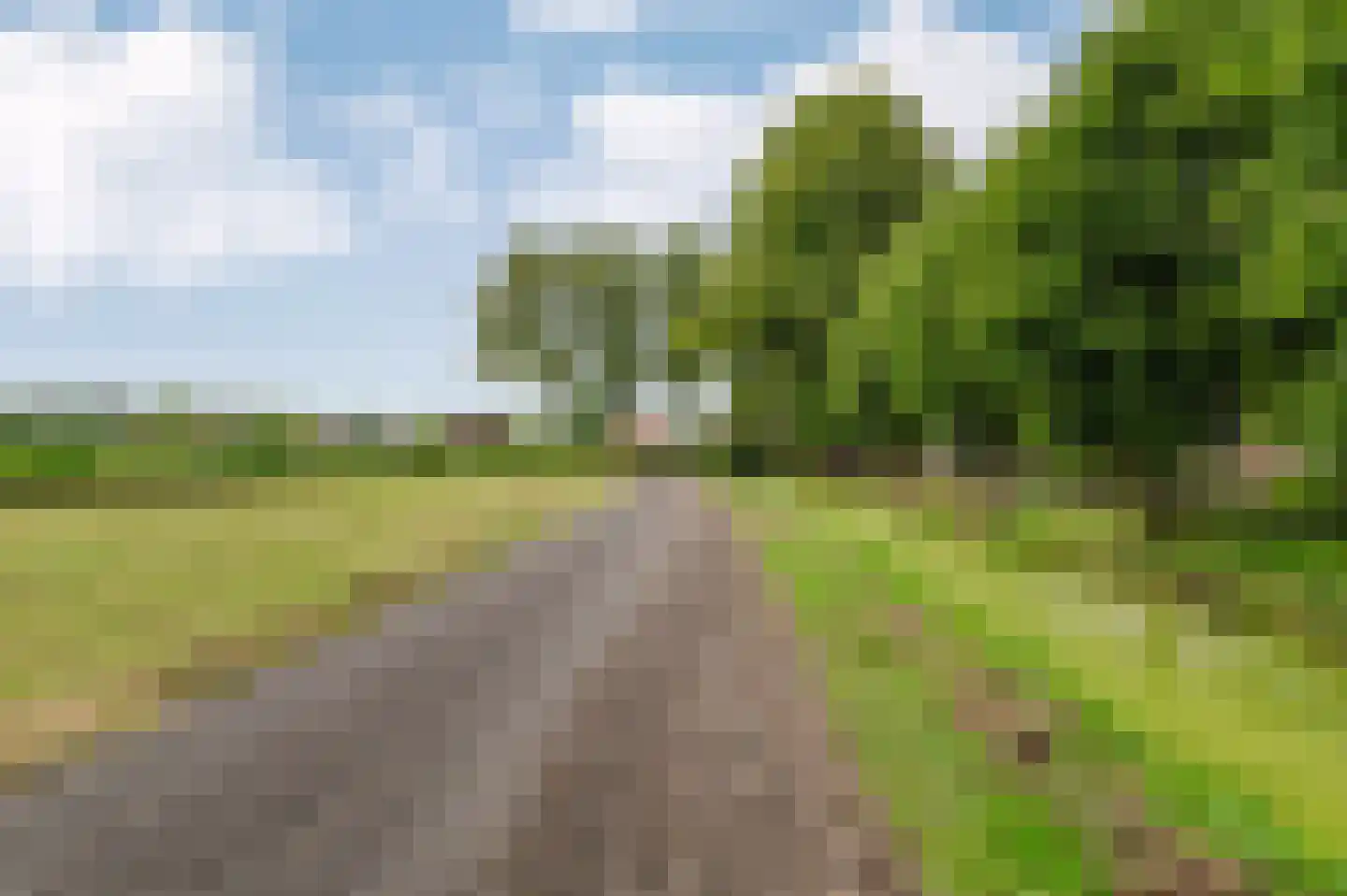 Voetpad 66 Scherpenzeel thumbnail 79