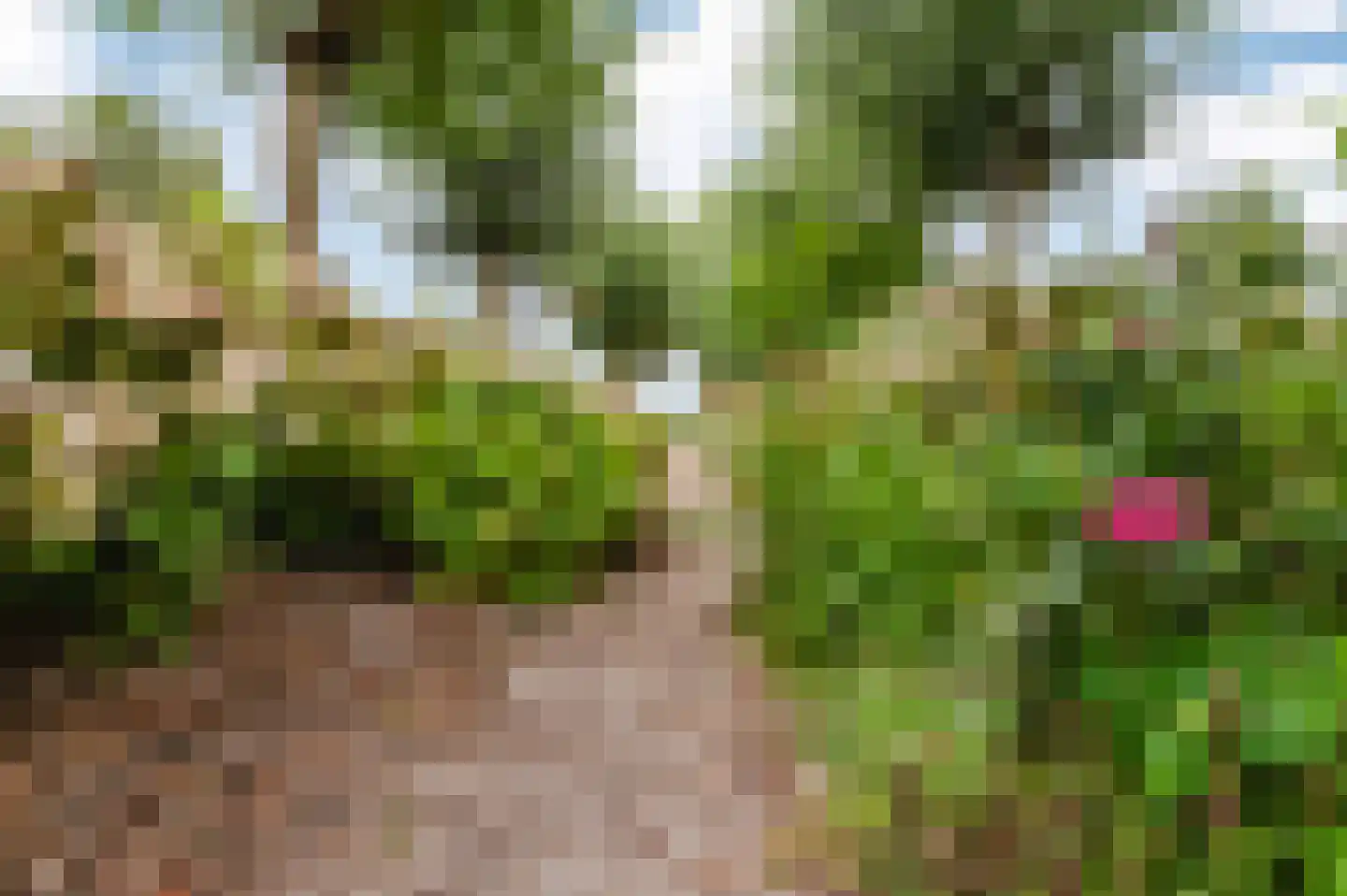 Voetpad 66 Scherpenzeel thumbnail 80