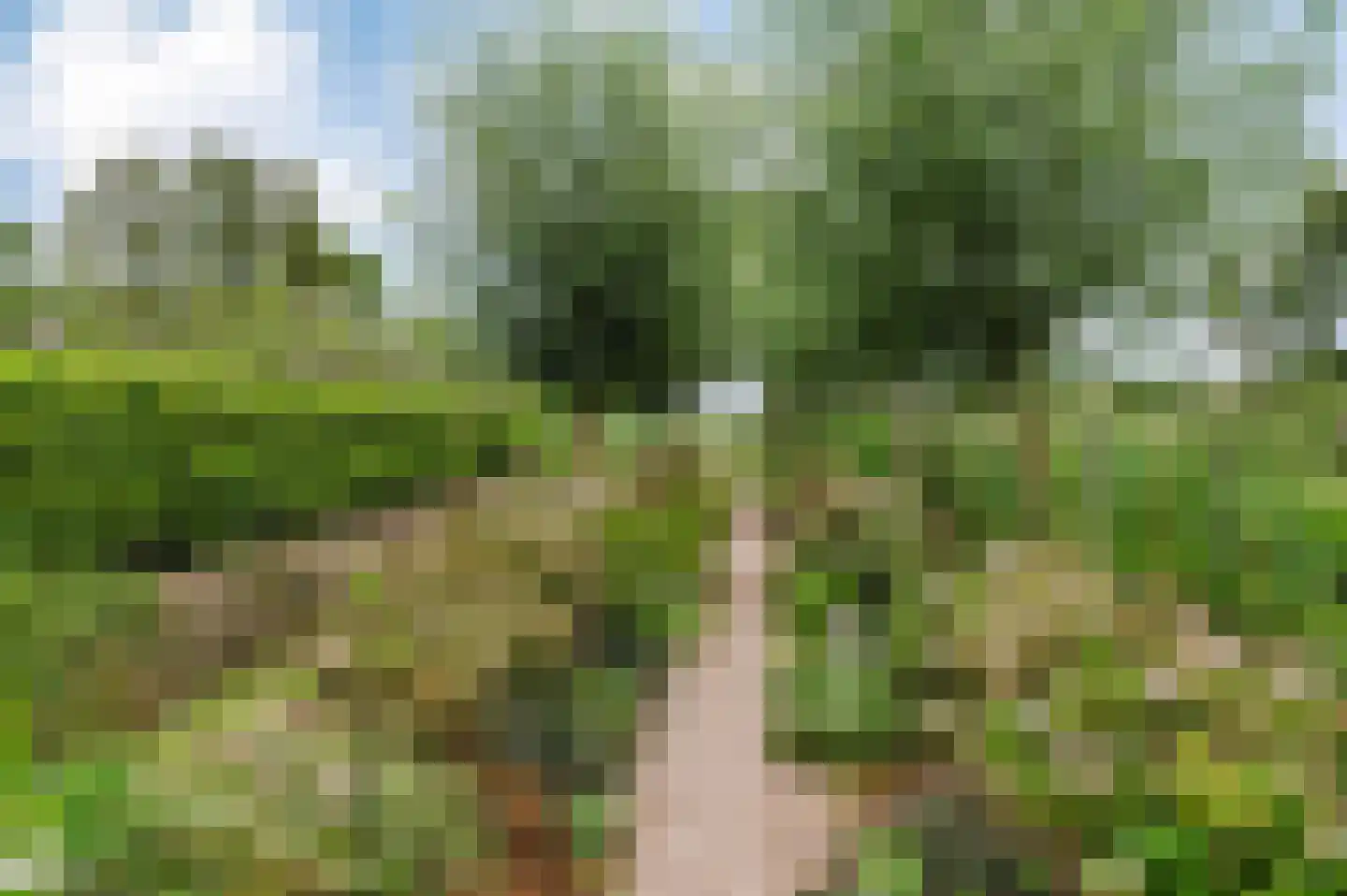 Voetpad 66 Scherpenzeel thumbnail 81