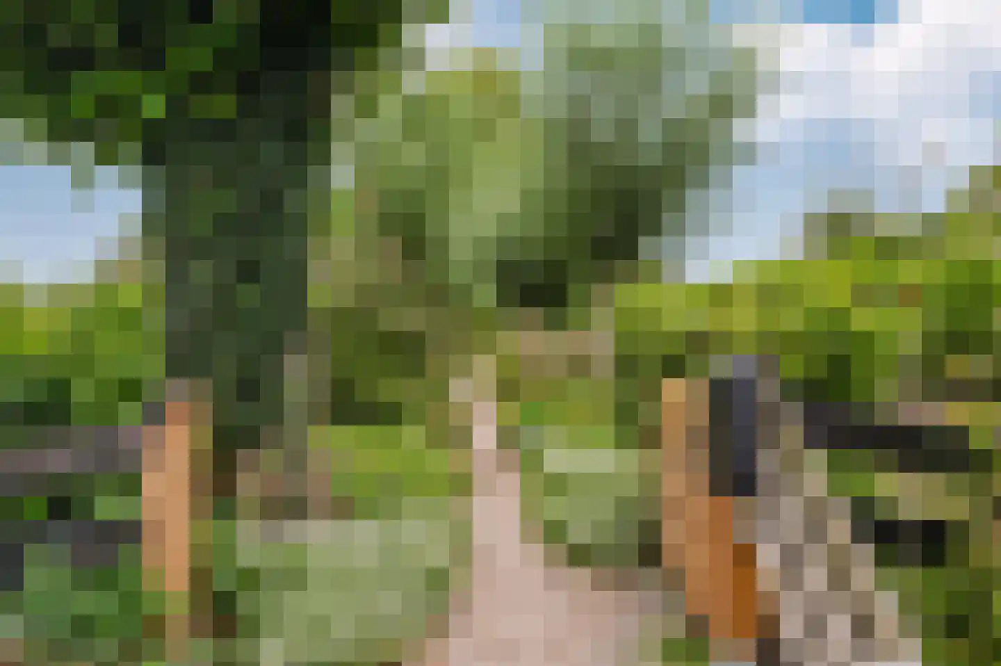 Voetpad 66 Scherpenzeel thumbnail 82