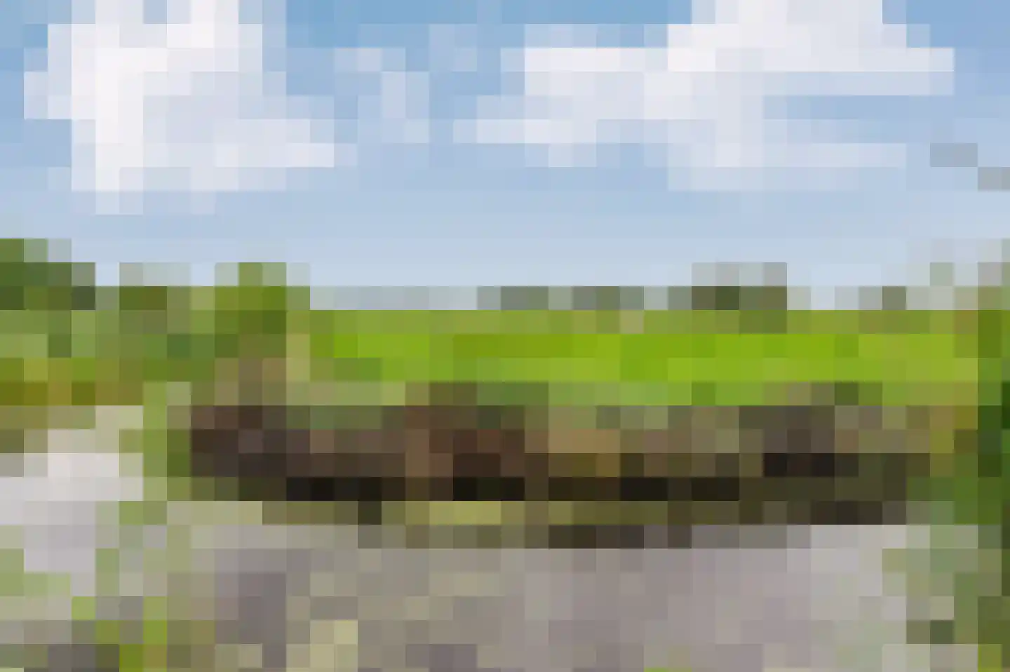 Voetpad 66 Scherpenzeel thumbnail 83