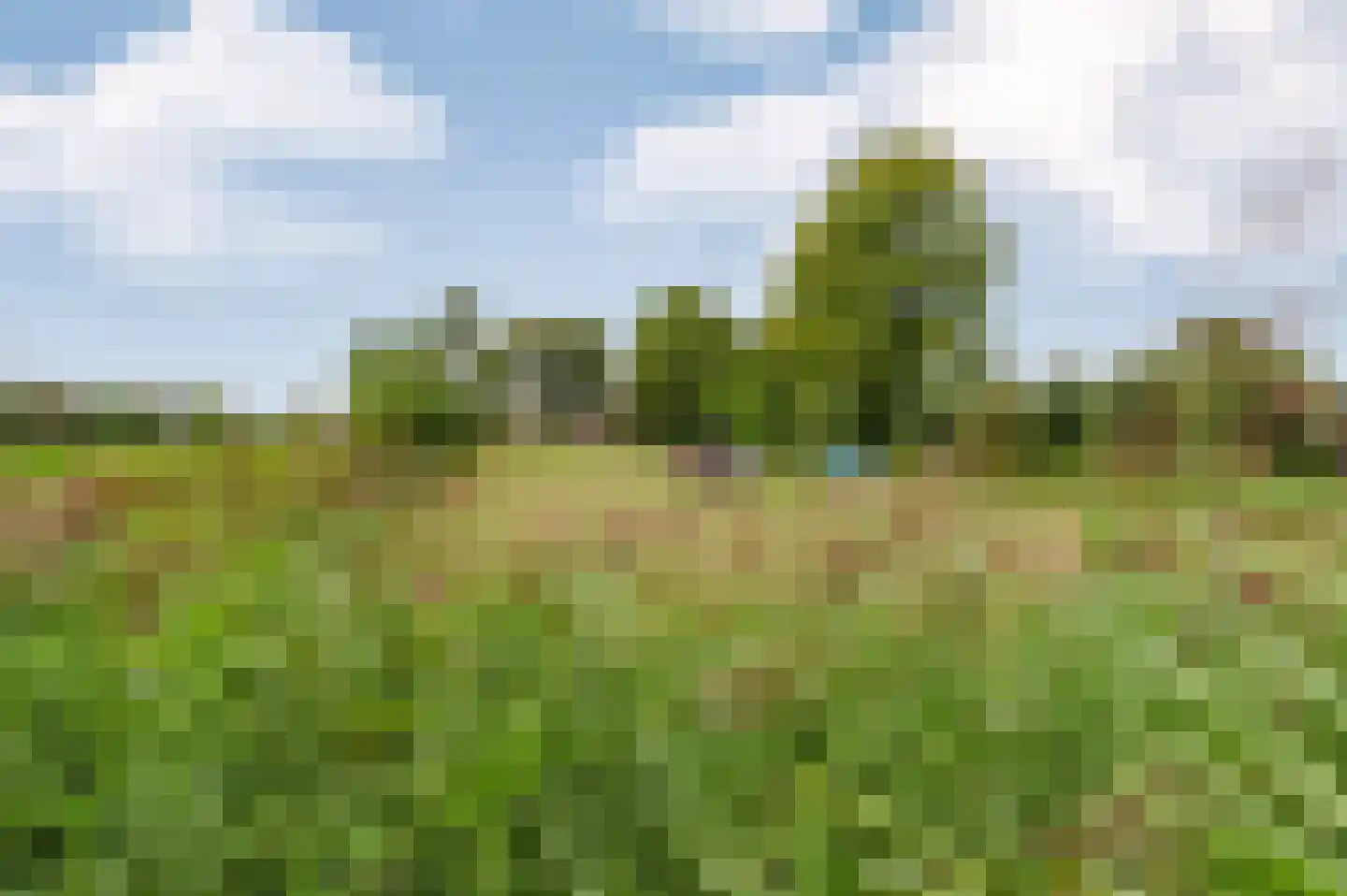 Voetpad 66 Scherpenzeel thumbnail 85