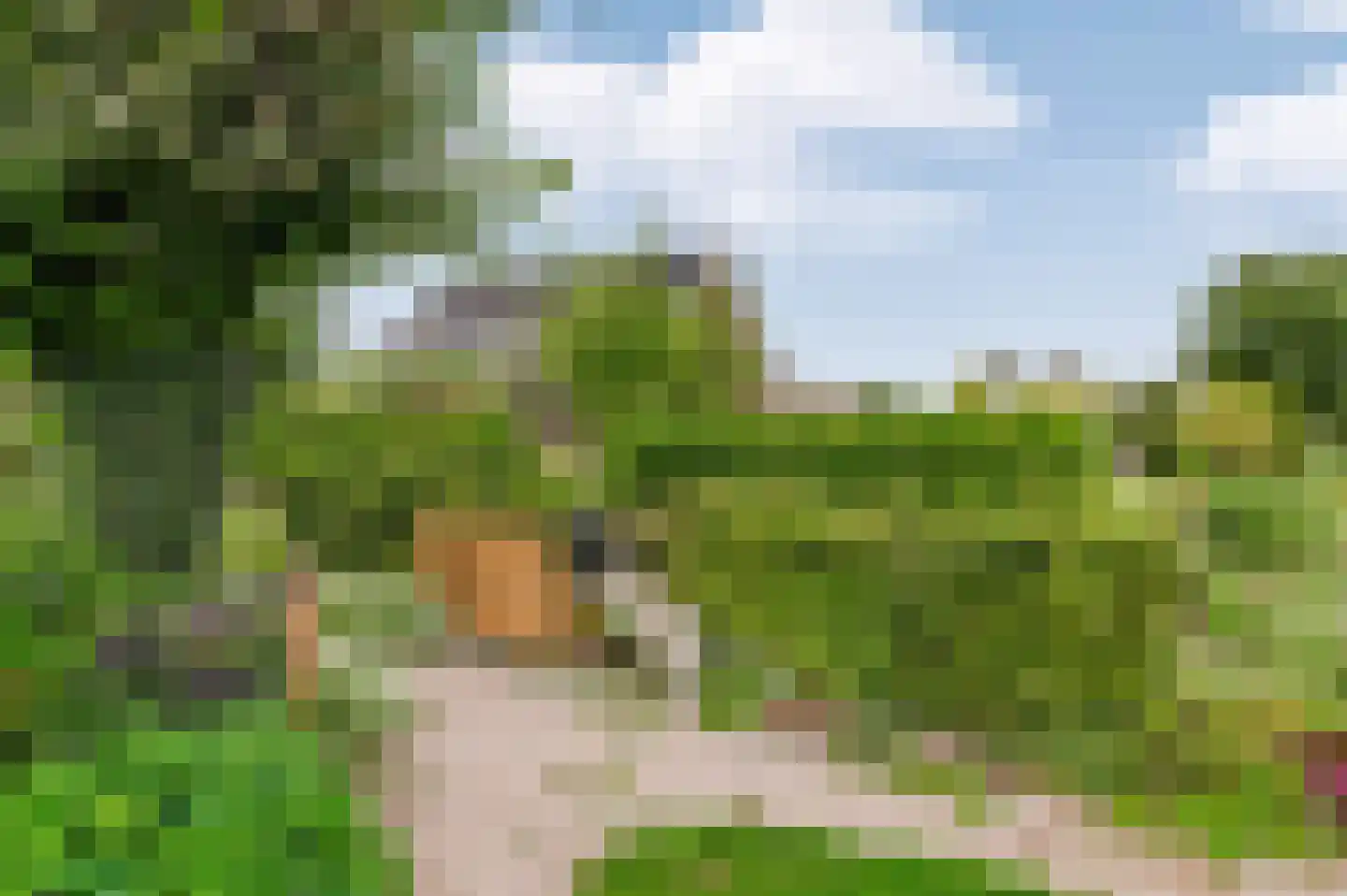 Voetpad 66 Scherpenzeel thumbnail 86