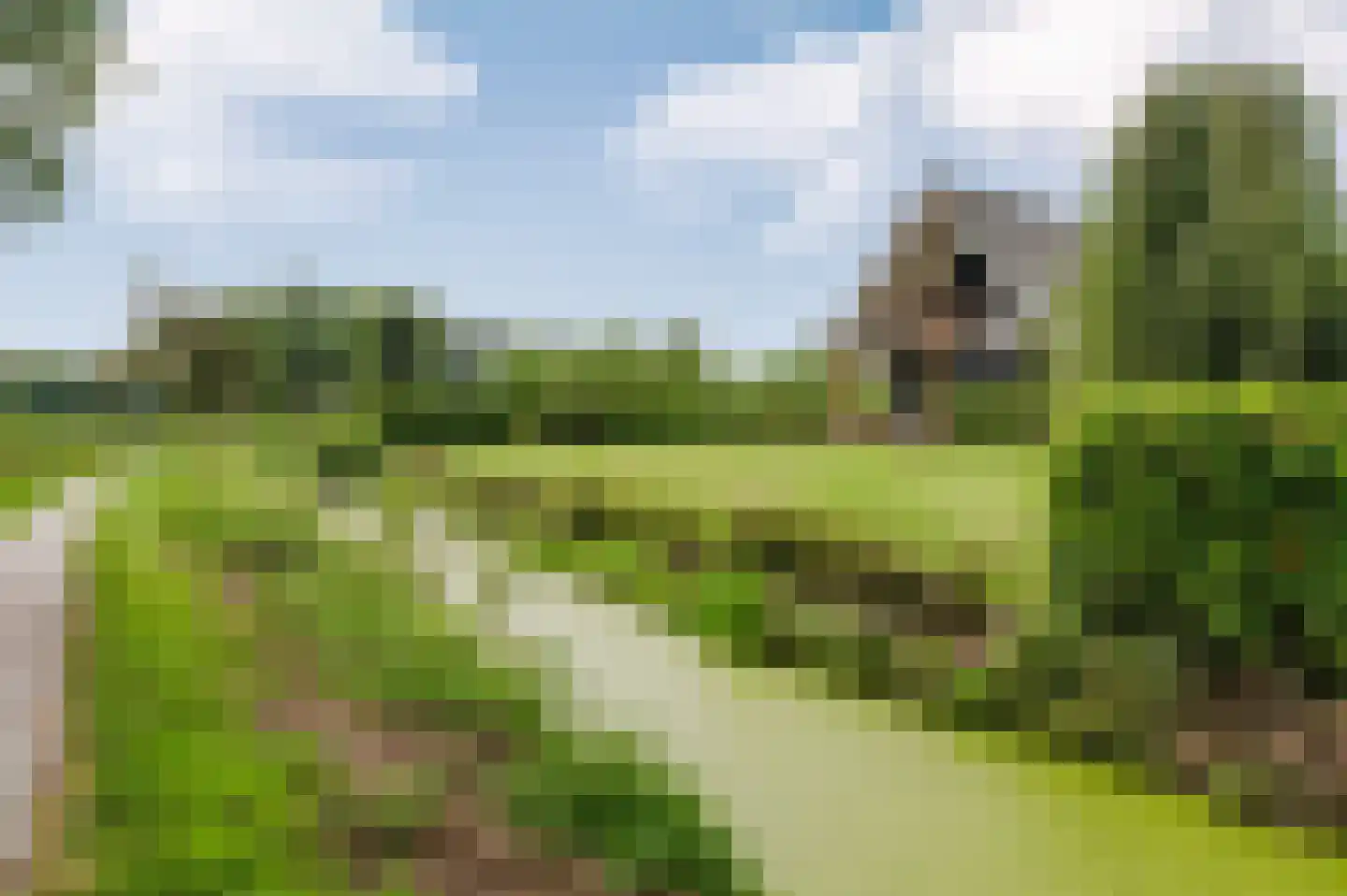 Voetpad 66 Scherpenzeel thumbnail 87