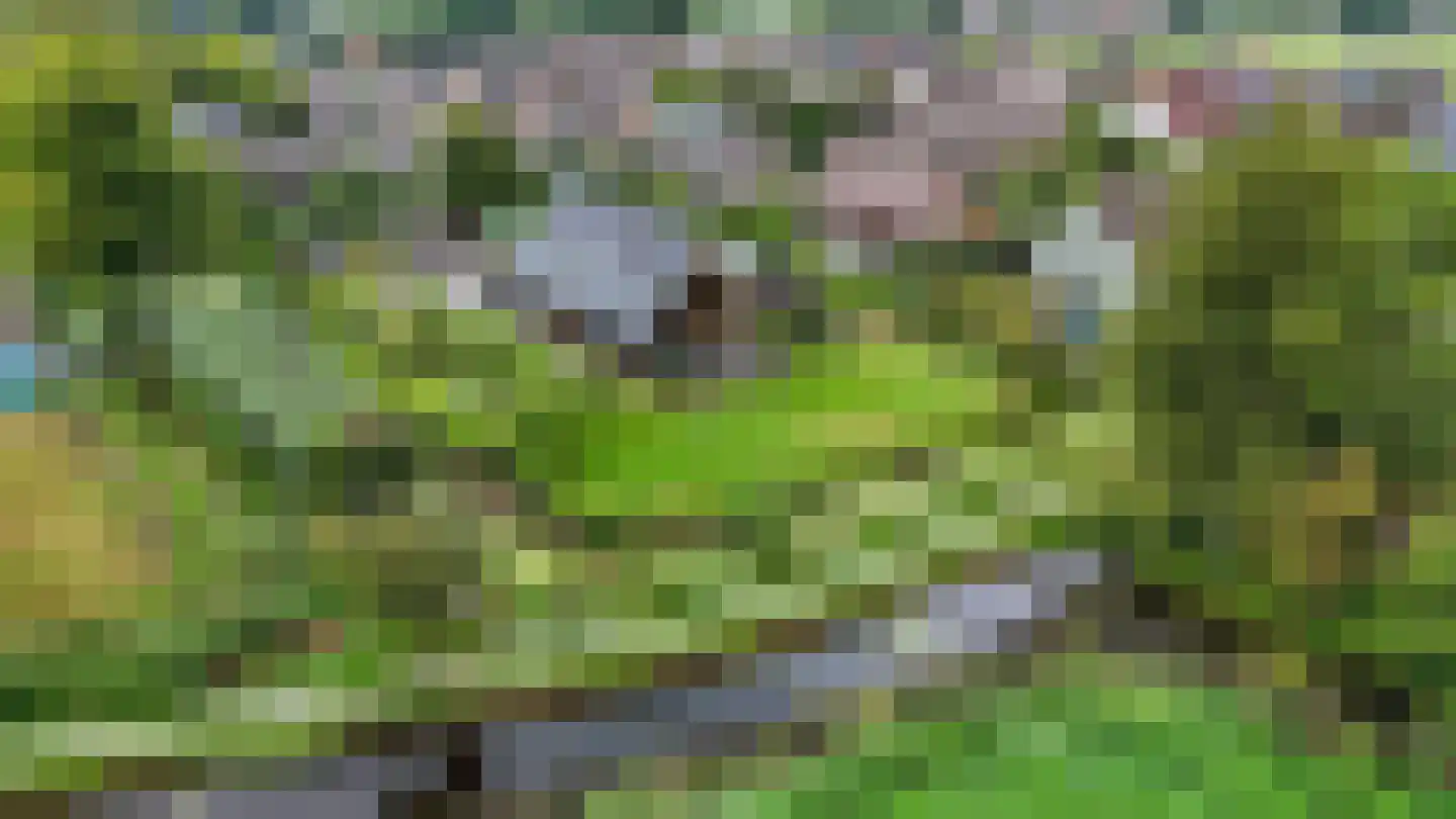 Voetpad 66 Scherpenzeel thumbnail 89