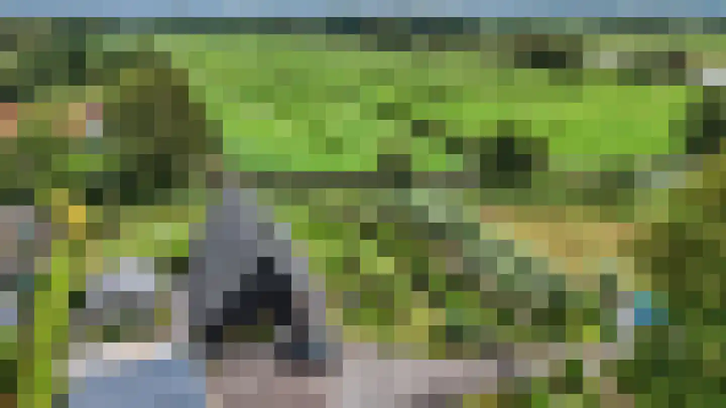 Voetpad 66 Scherpenzeel thumbnail 90