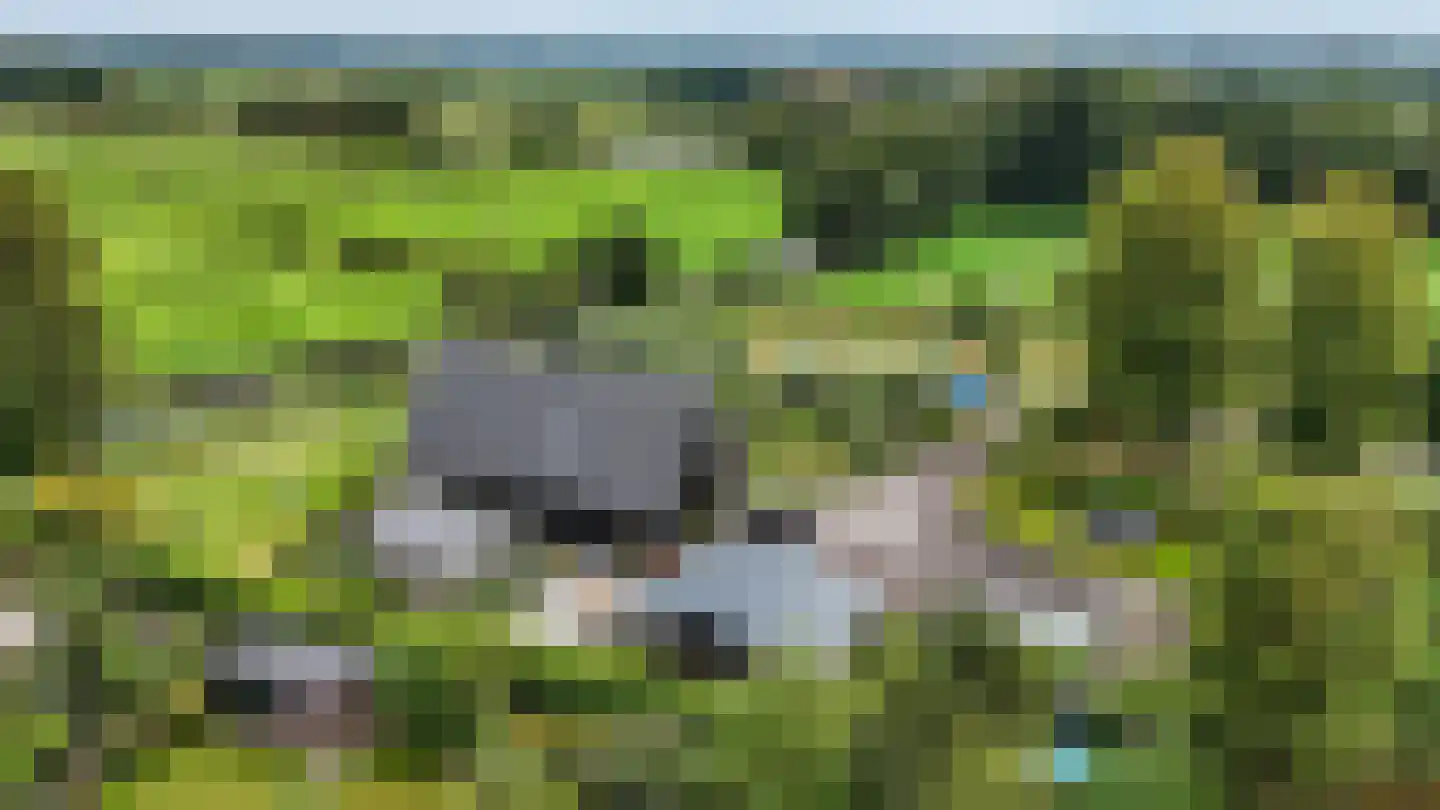 Voetpad 66 Scherpenzeel thumbnail 91