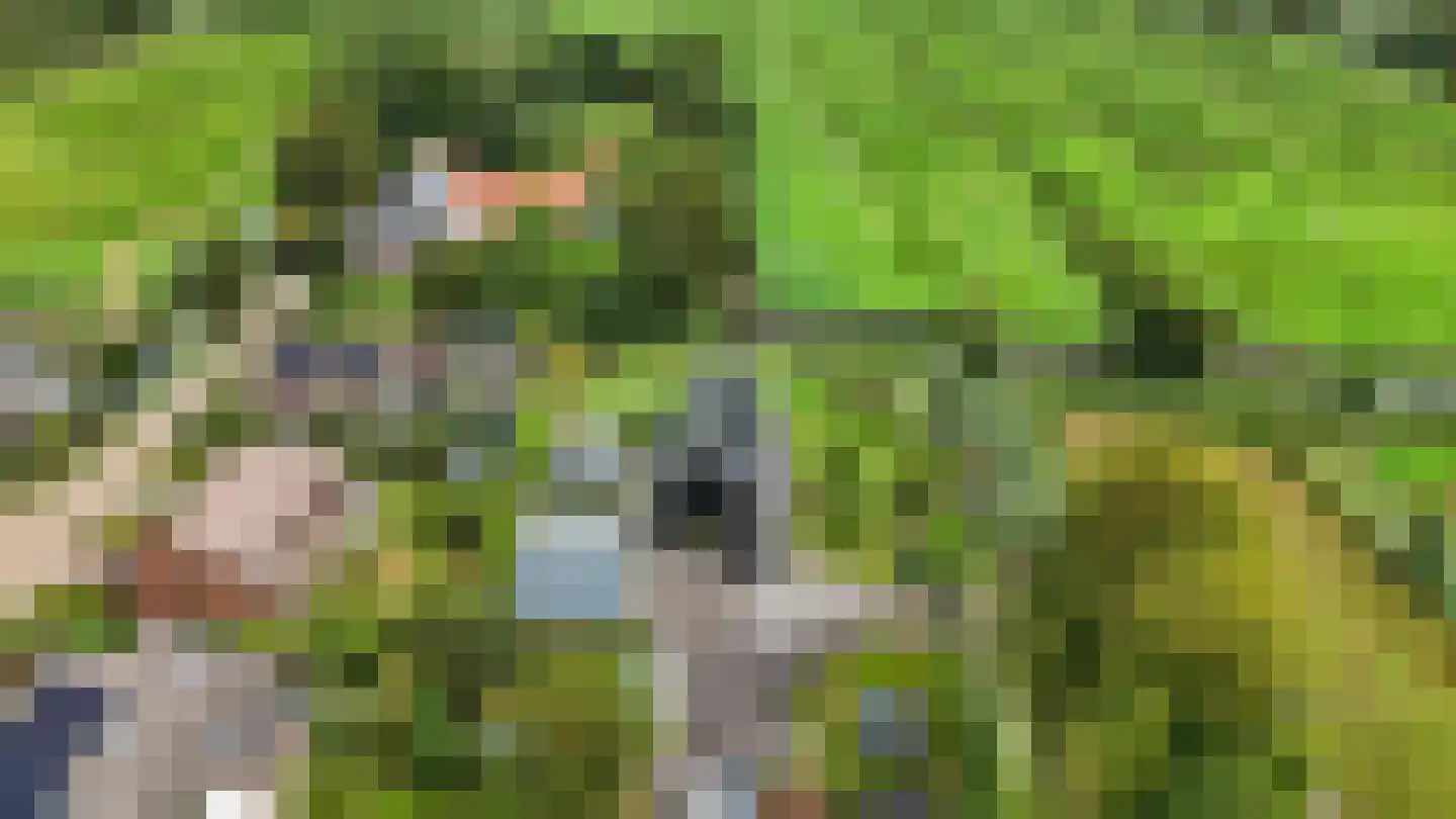 Voetpad 66 Scherpenzeel thumbnail 92