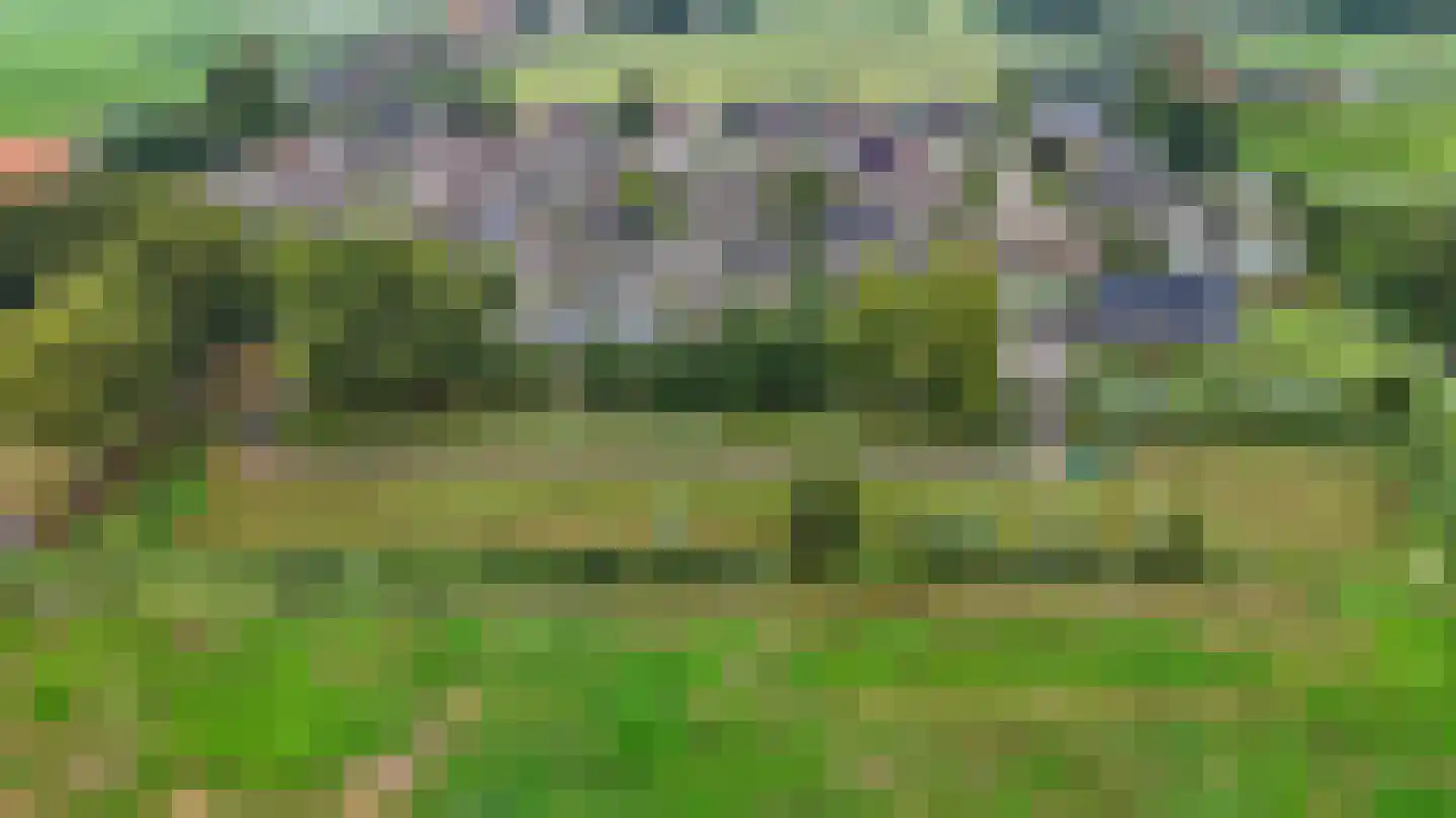 Voetpad 66 Scherpenzeel thumbnail 93