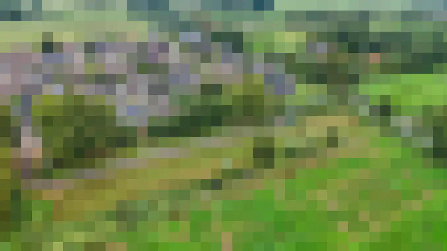 Voetpad 66 Scherpenzeel thumbnail 94
