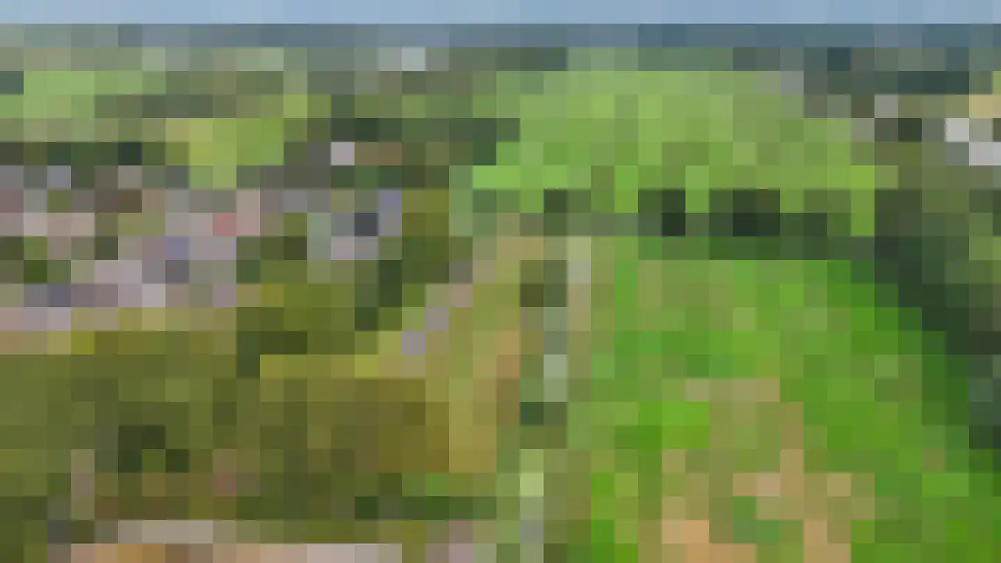 Voetpad 66 Scherpenzeel thumbnail 95
