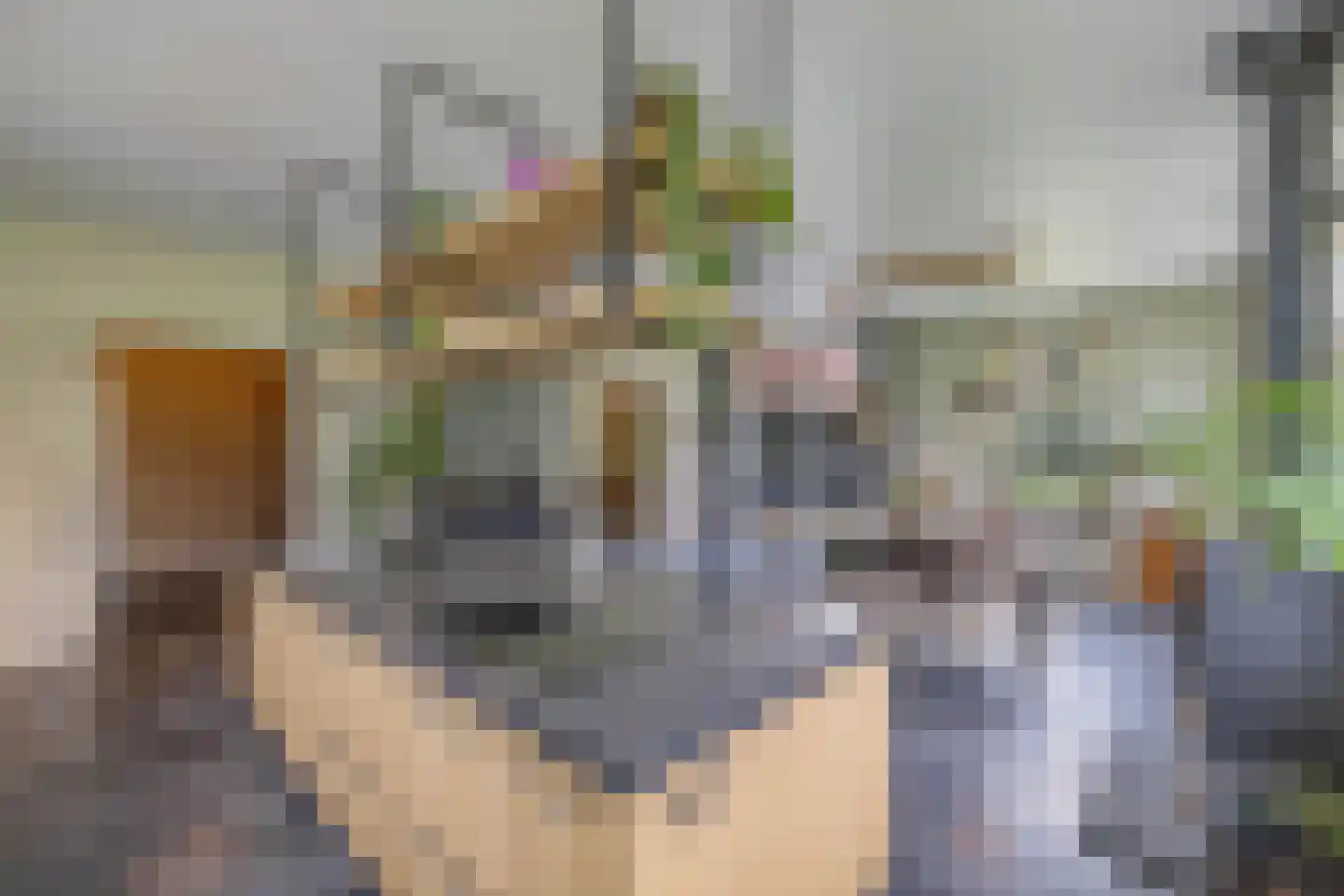 Voetpad 81 Scherpenzeel thumbnail 11