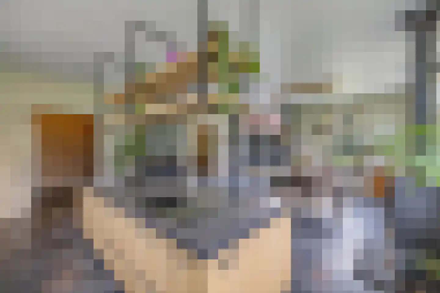 Voetpad 81 Scherpenzeel thumbnail 11