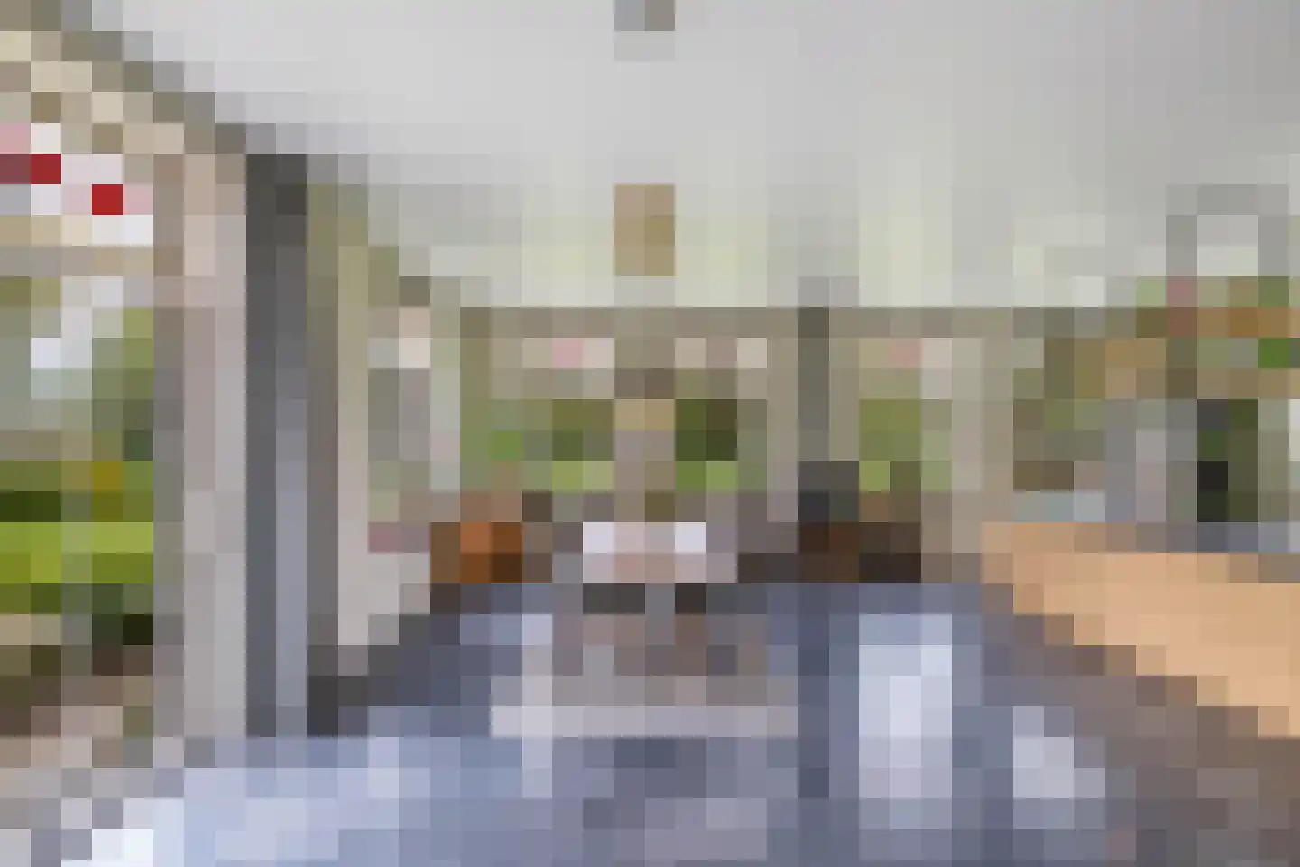 Voetpad 81 Scherpenzeel thumbnail 12