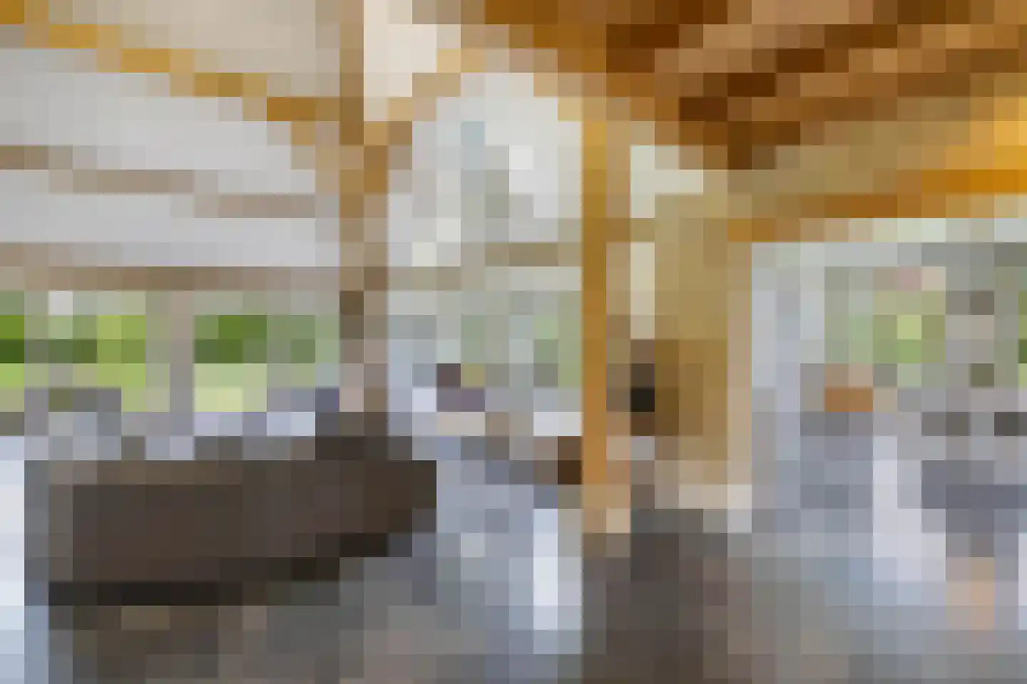 Voetpad 81 Scherpenzeel thumbnail 14
