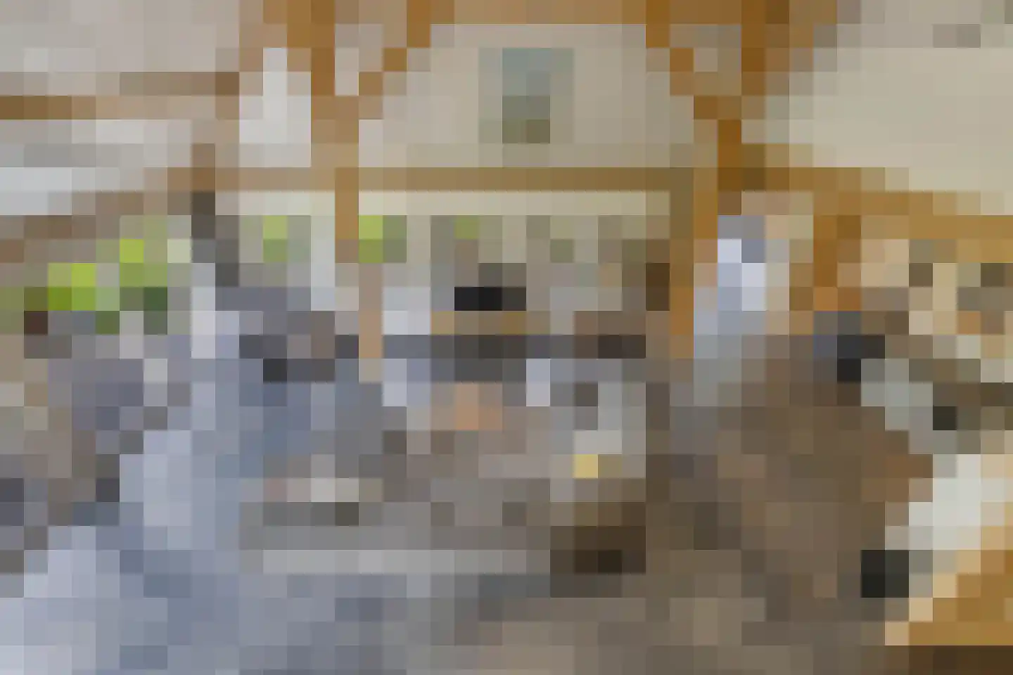 Voetpad 81 Scherpenzeel thumbnail 15