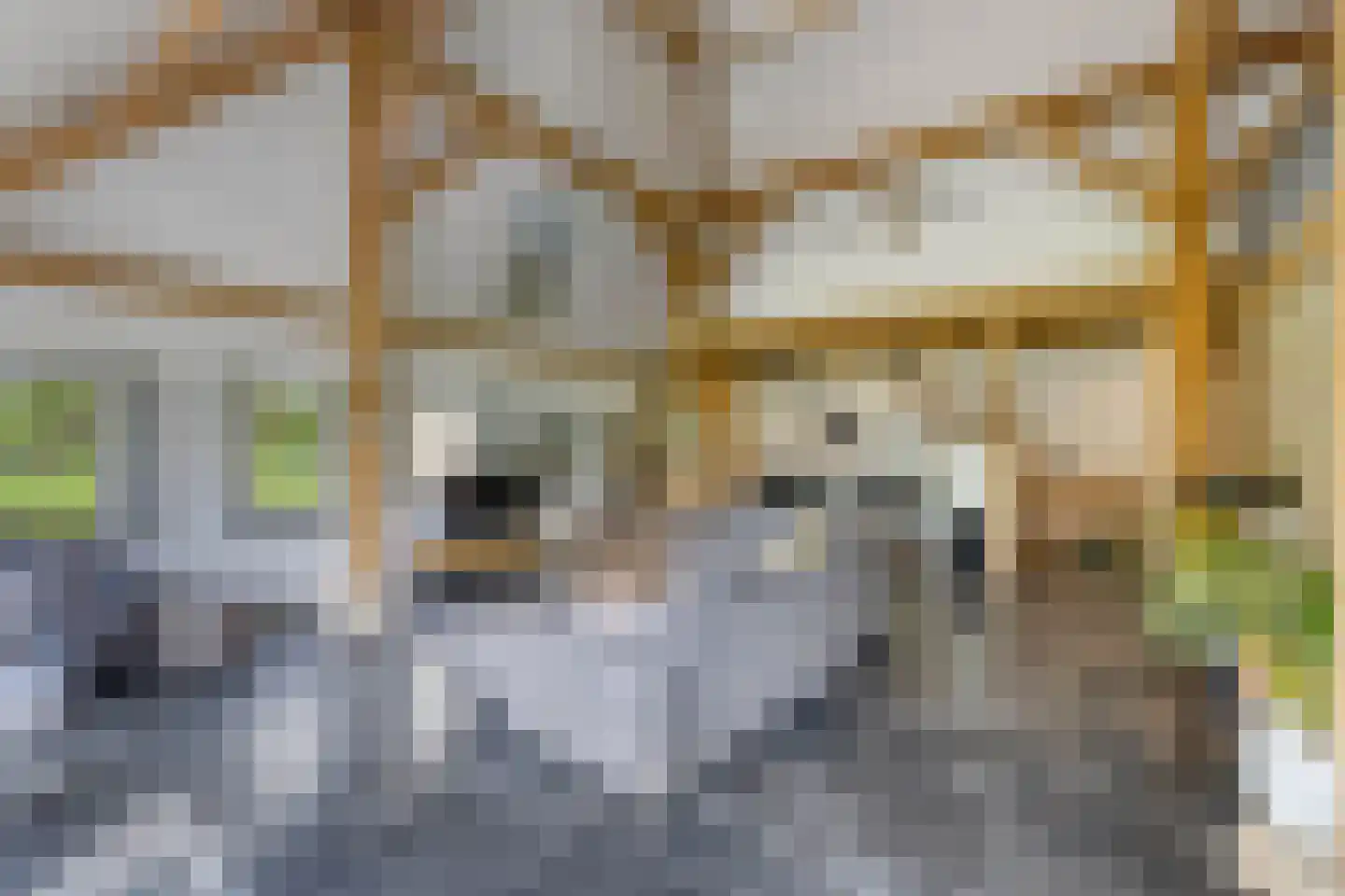 Voetpad 81 Scherpenzeel thumbnail 17