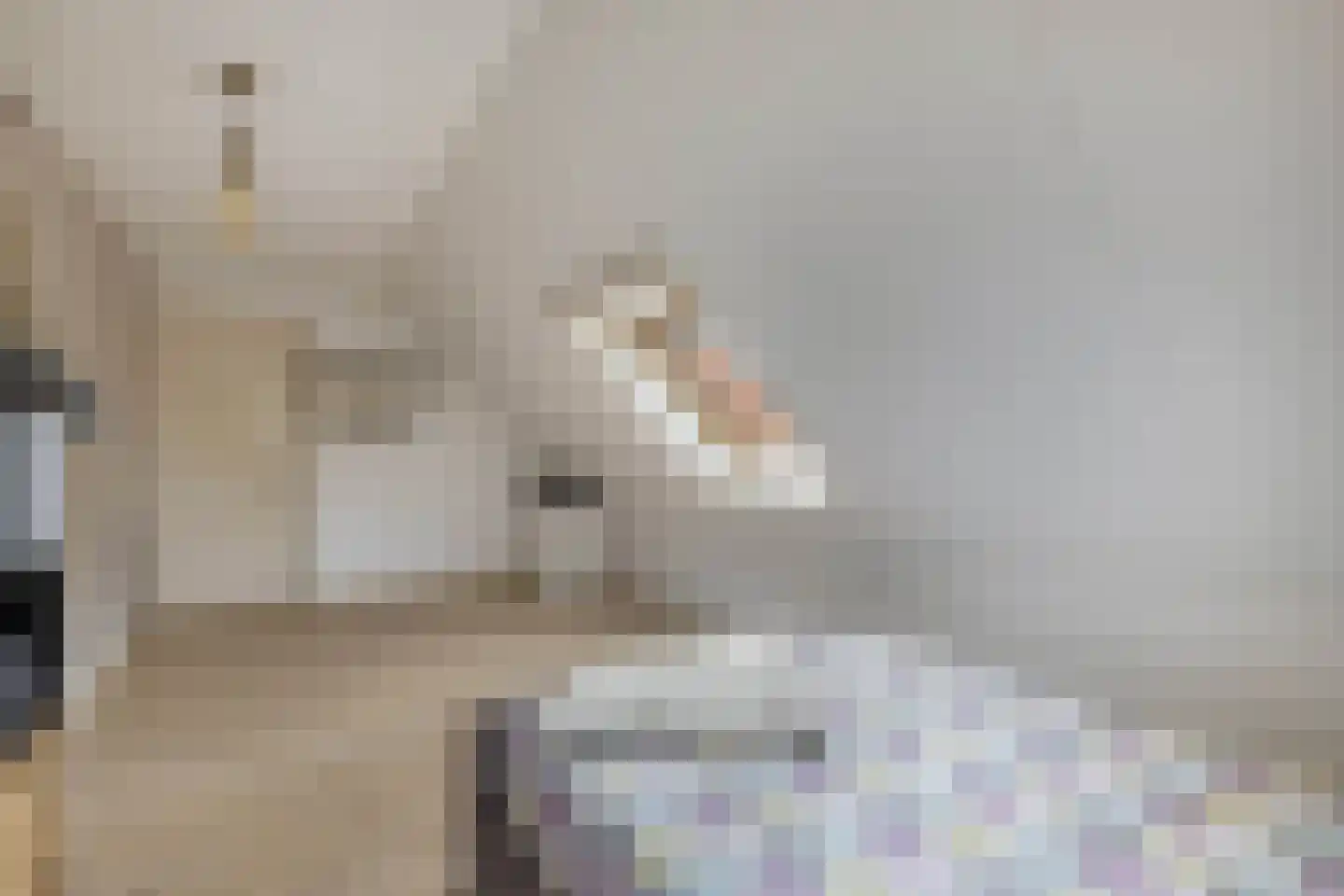 Voetpad 81 Scherpenzeel thumbnail 27