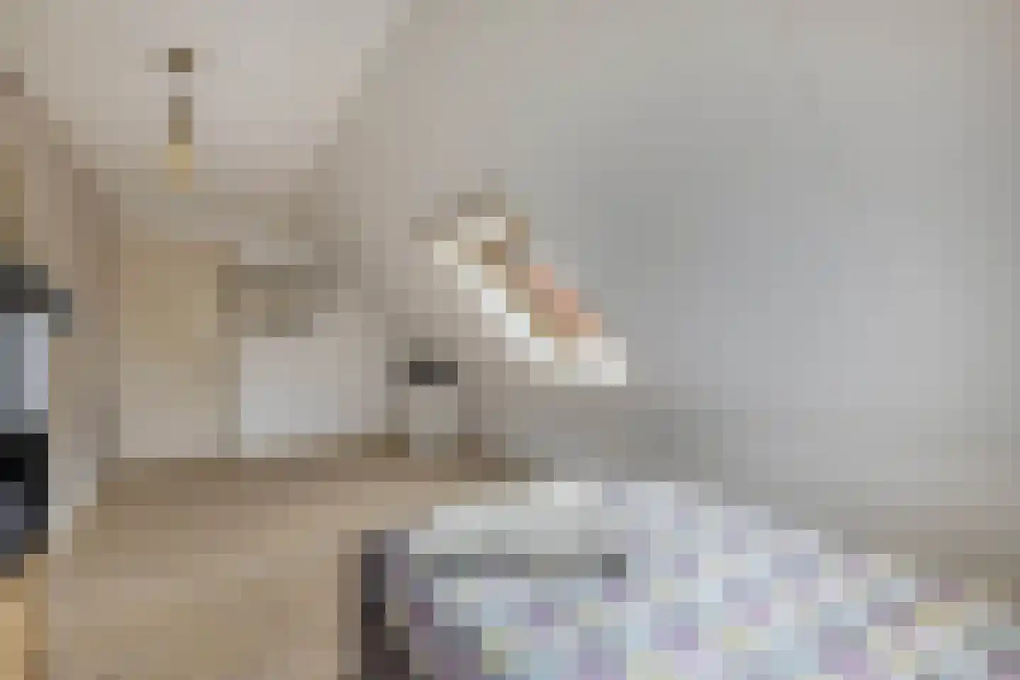 Voetpad 81 Scherpenzeel thumbnail 27