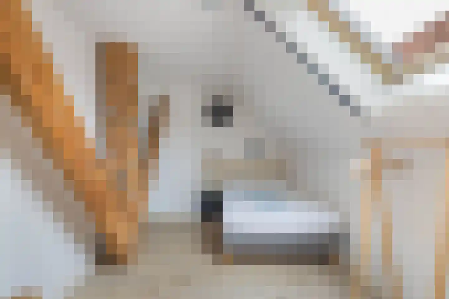 Voetpad 81 Scherpenzeel thumbnail 28