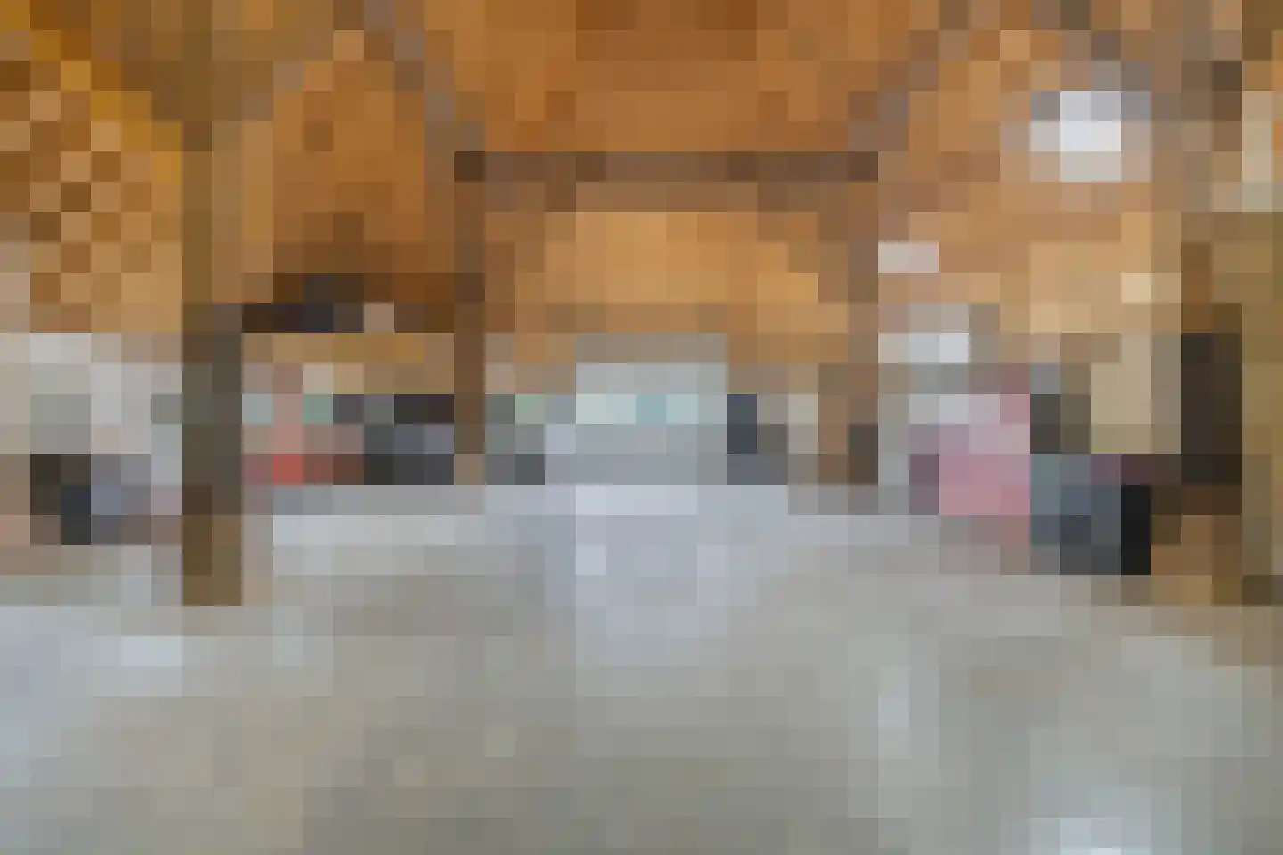 Voetpad 81 Scherpenzeel thumbnail 33