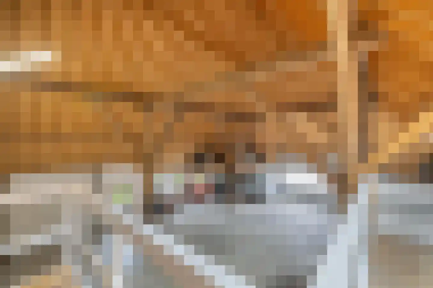 Voetpad 81 Scherpenzeel thumbnail 34