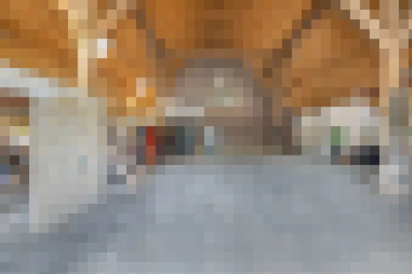 Voetpad 81 Scherpenzeel thumbnail 37
