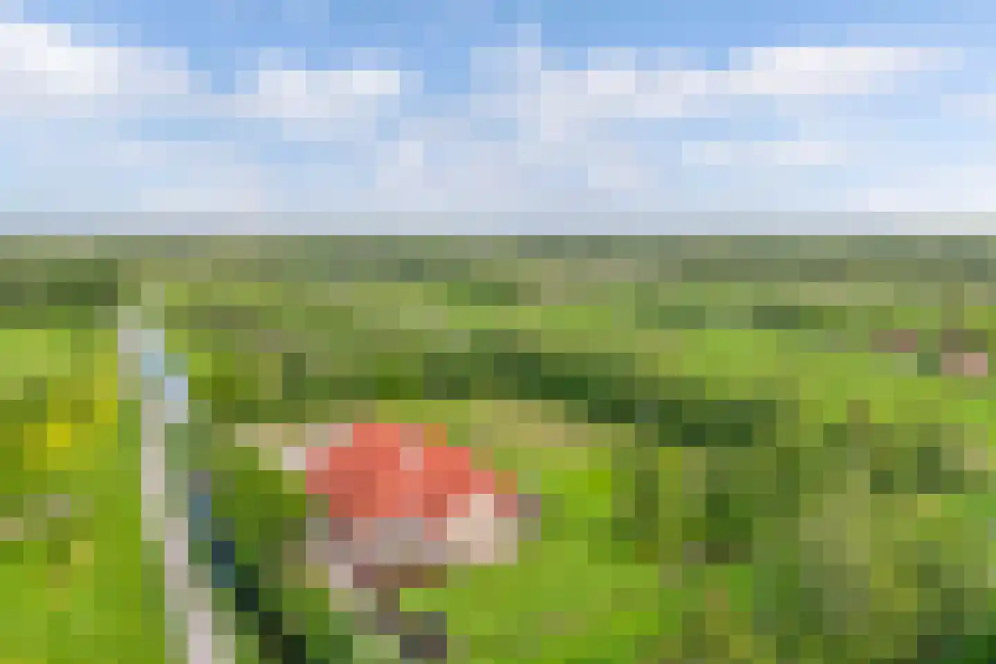 Voetpad 81 Scherpenzeel thumbnail 4
