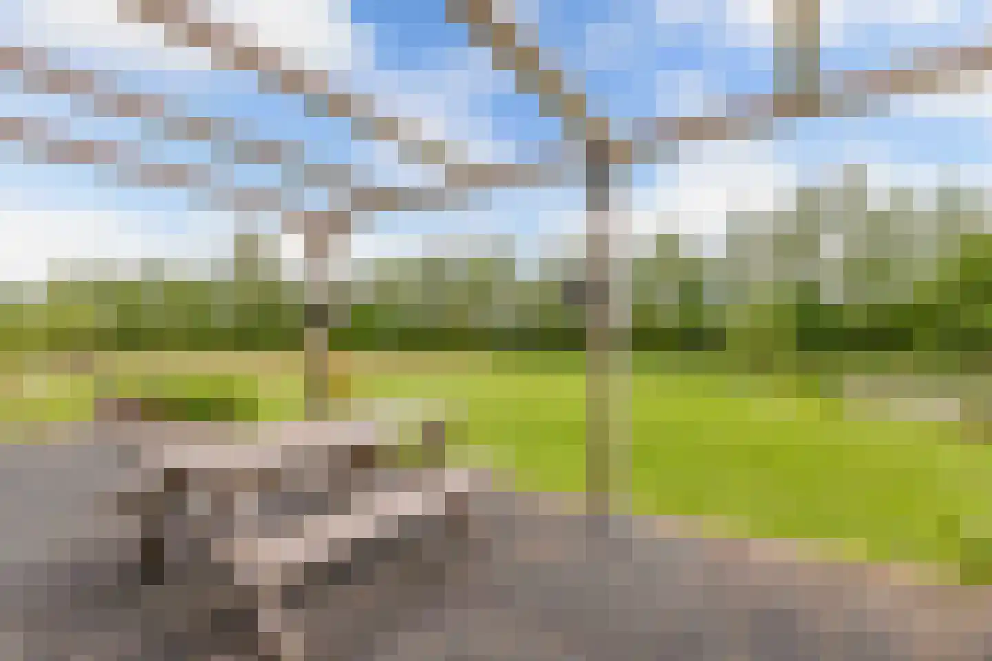 Voetpad 81 Scherpenzeel thumbnail 41