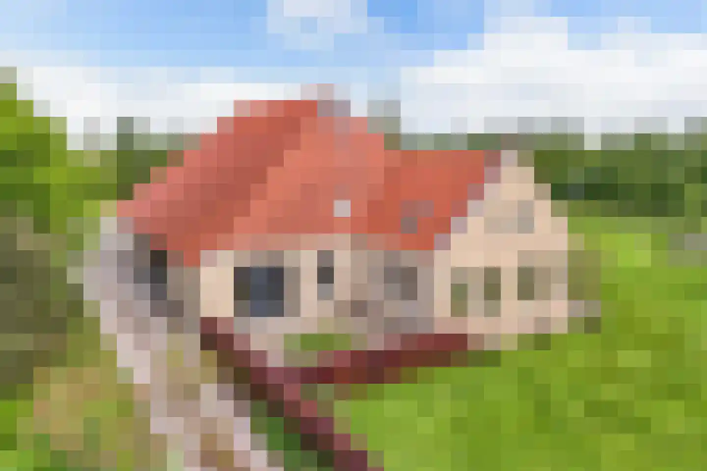 Voetpad 81 Scherpenzeel thumbnail 50