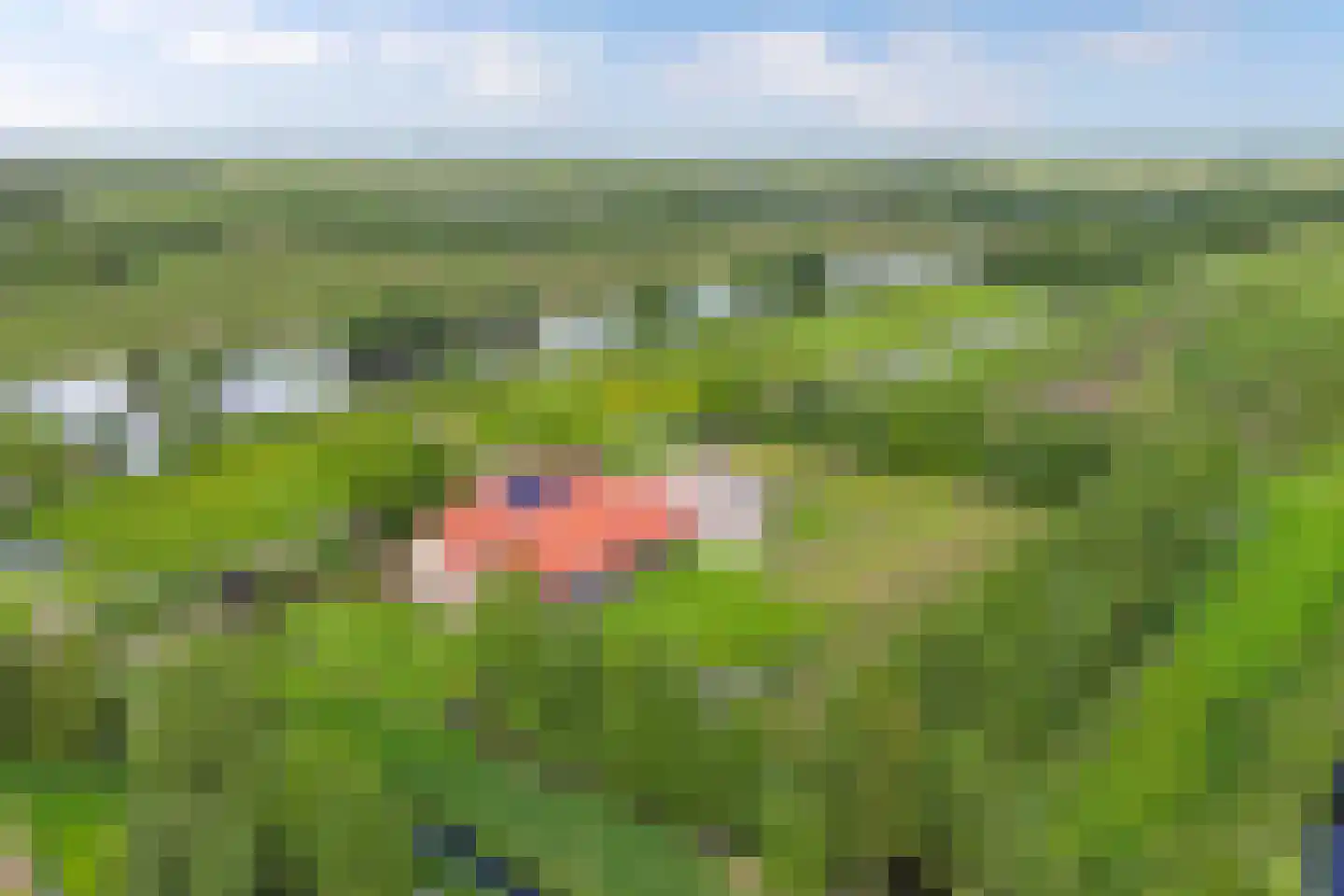 Voetpad 81 Scherpenzeel thumbnail 52