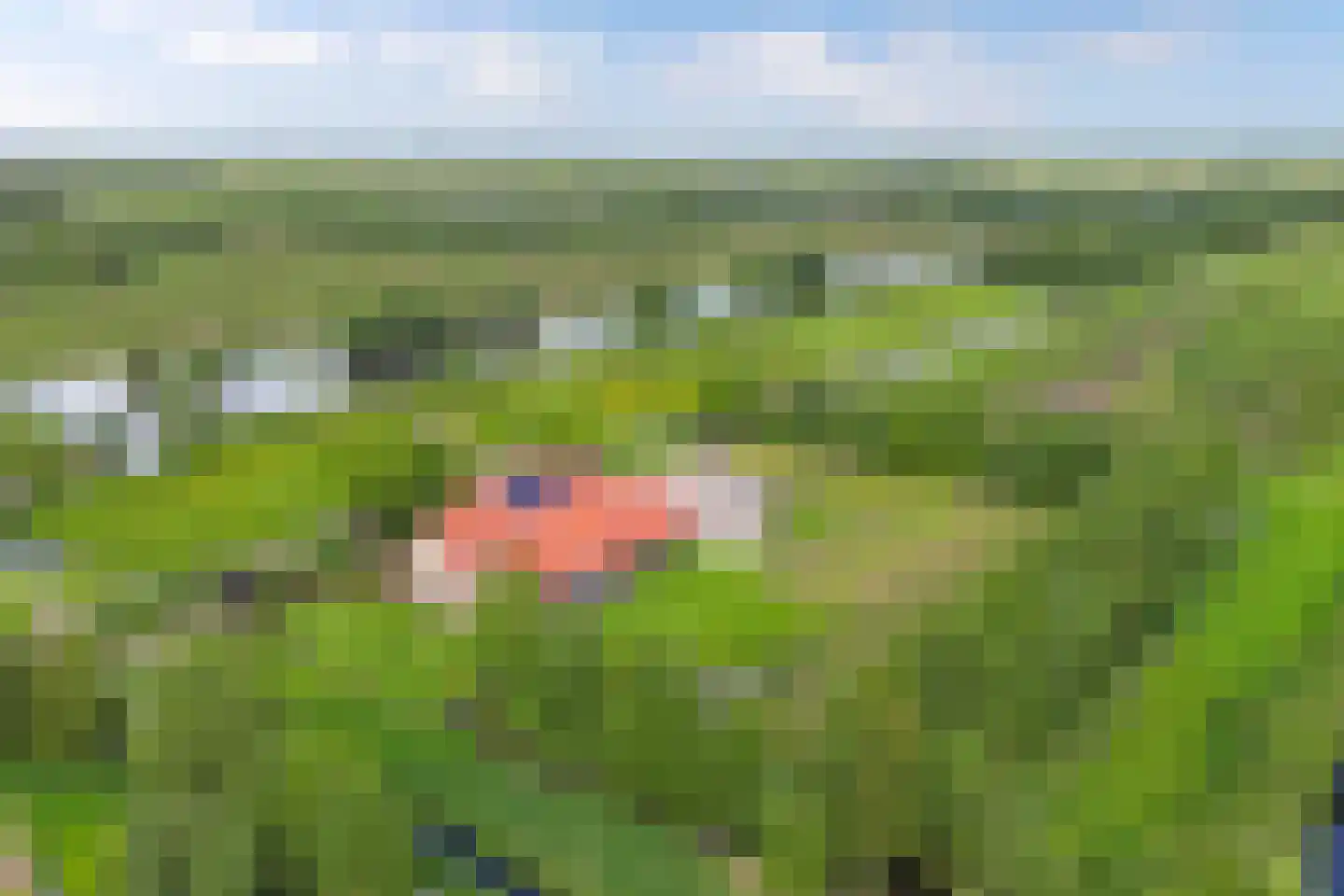Voetpad 81 Scherpenzeel thumbnail 52