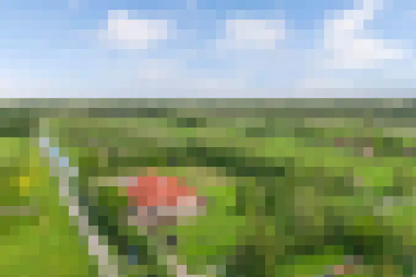 Voetpad 81 Scherpenzeel thumbnail 53