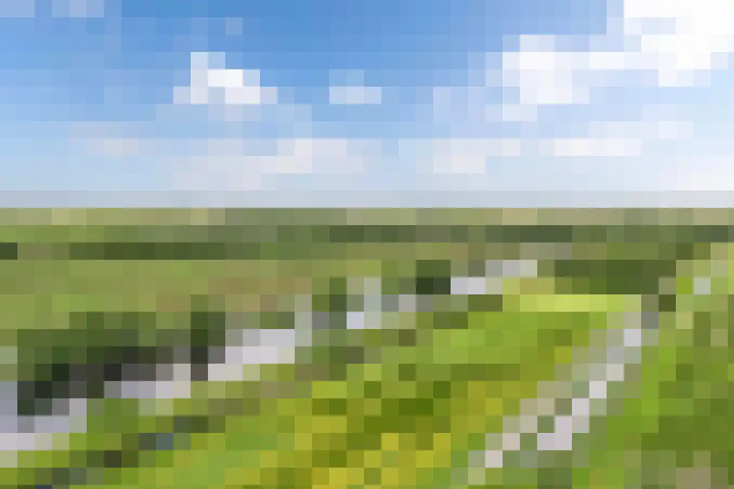 Voetpad 81 Scherpenzeel thumbnail 55