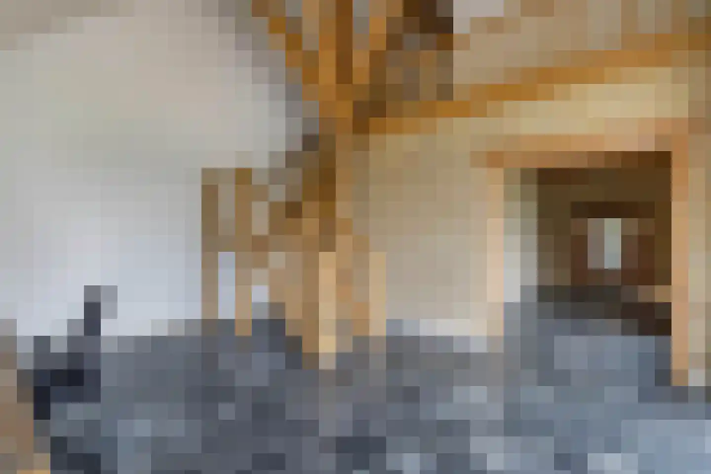 Voetpad 81 Scherpenzeel thumbnail 9
