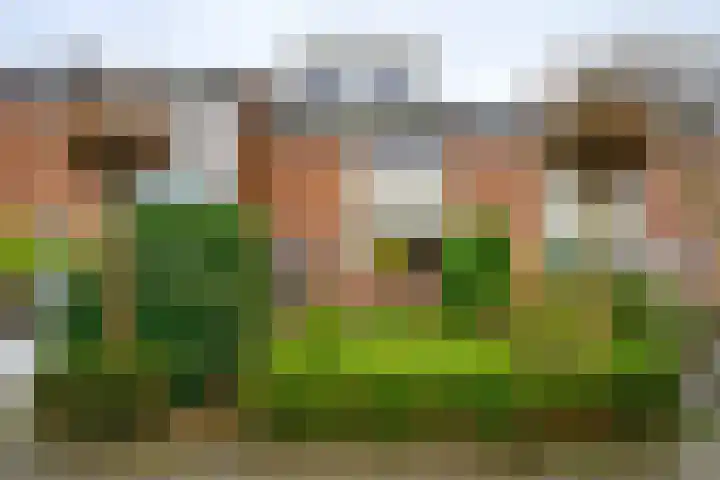 Voetweyde 35 Werkendam