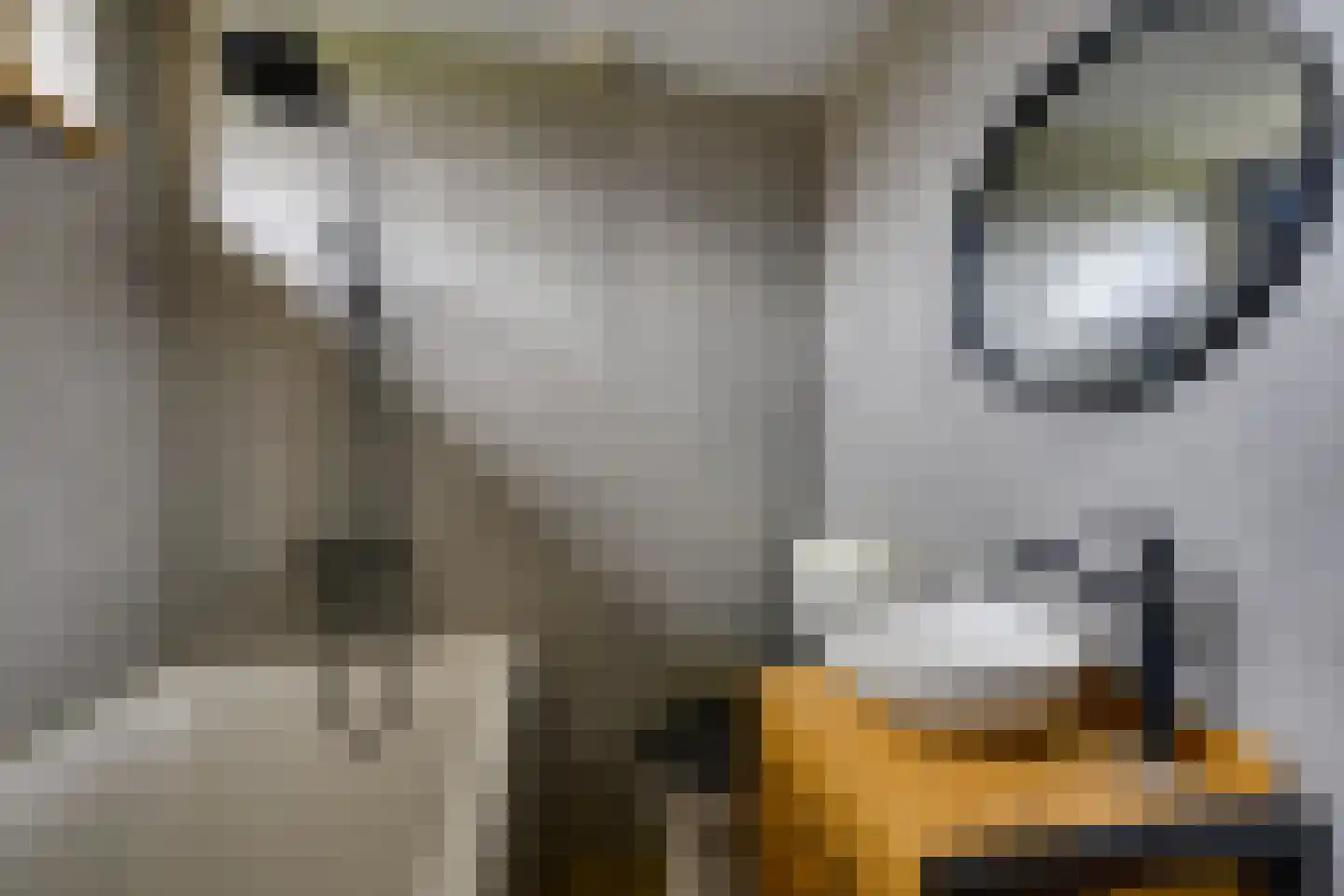 Voetweyde 35 Werkendam thumbnail 18