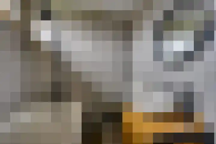 Voetweyde 35 Werkendam thumbnail 18