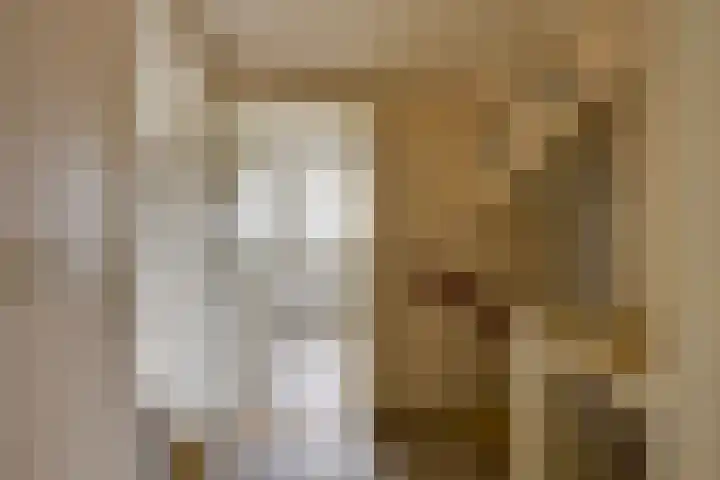 Voetweyde 35 Werkendam thumbnail 19